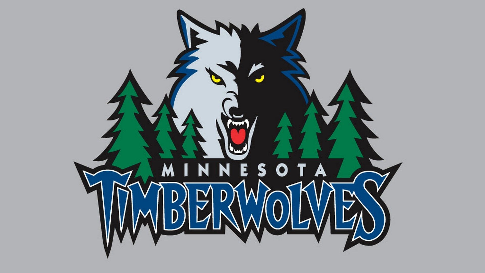 1920x1080 Minnesota Timberwolves Wallpaper HD 