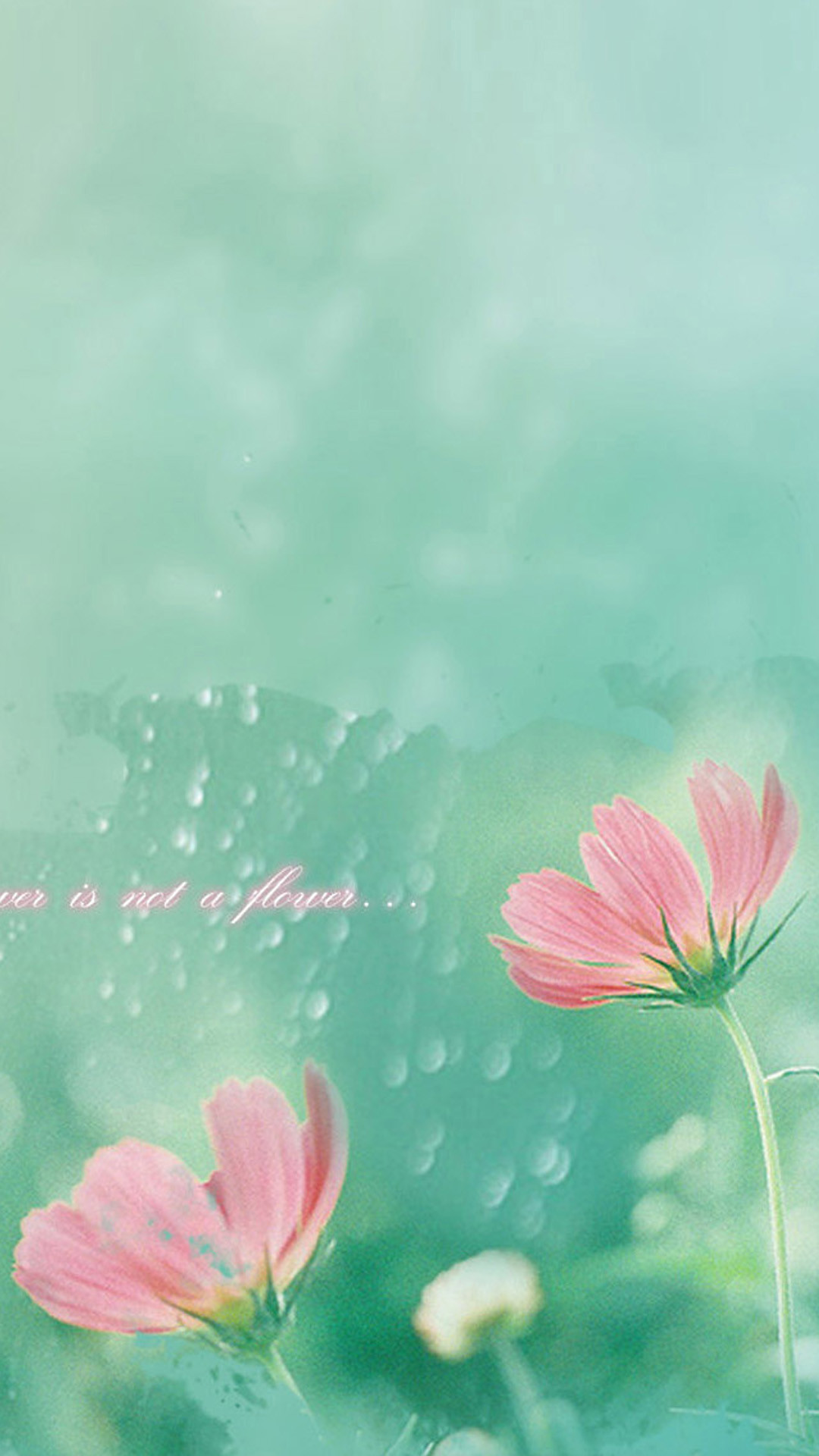 1080x1920 Simple Mist flower HD Wallpaper iPhone 6 plus
