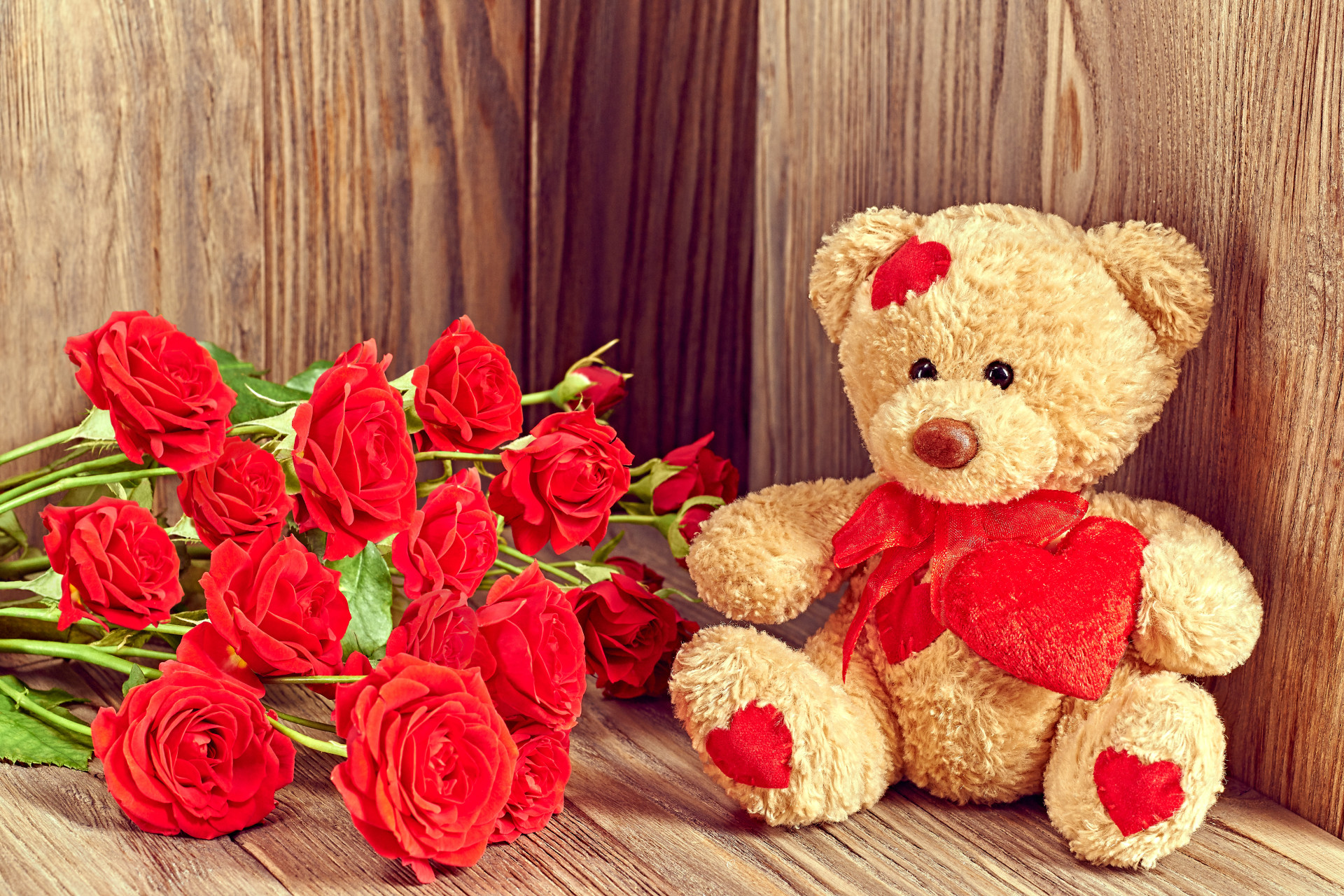 1920x1280 red roses cute teddy bear picture background wallpaper