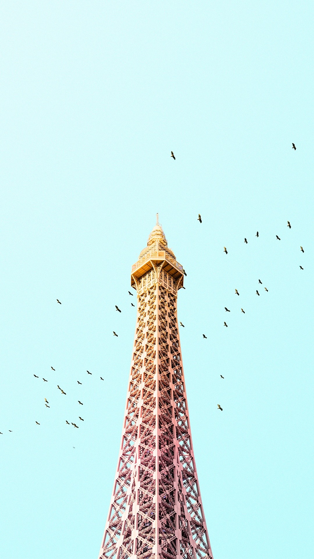1080x1920 Paris Eiffel Tower Birds Colorful iPhone 6 Plus HD Wallpaper
