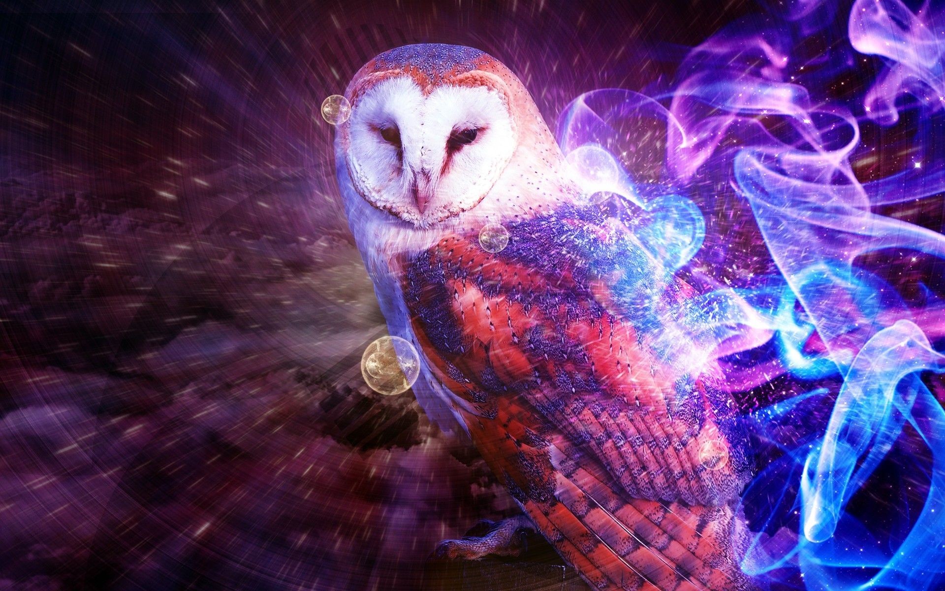 1920x1200 Owl Wallpaper Live HD Wallpaper HQ Pictures - HD Wallpapers