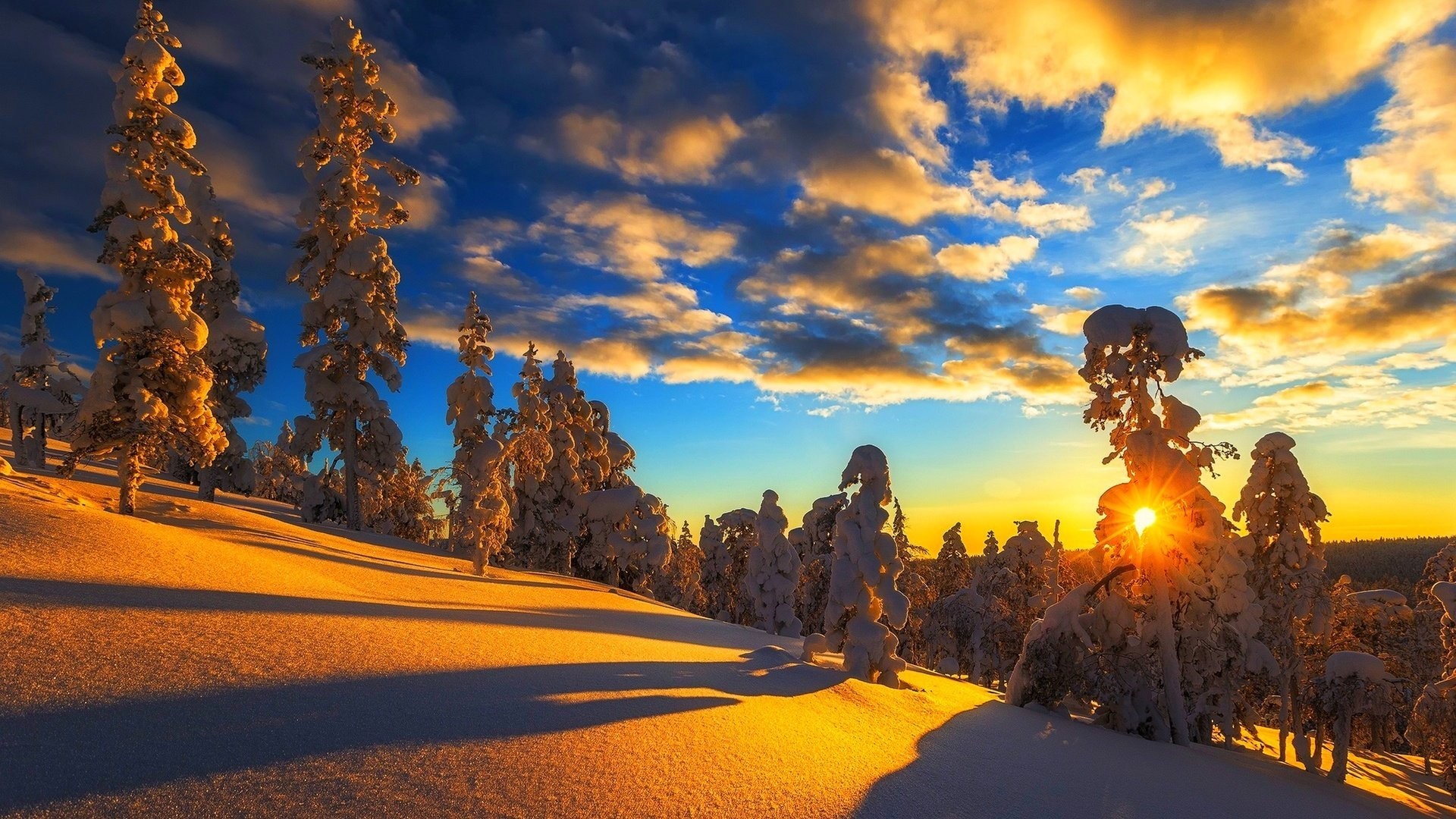 1920x1080 Landscapes - Landscape Winter Tree Snow Light Nature Beauty Sunset Hd  Wallpapers For Mobile Phones for