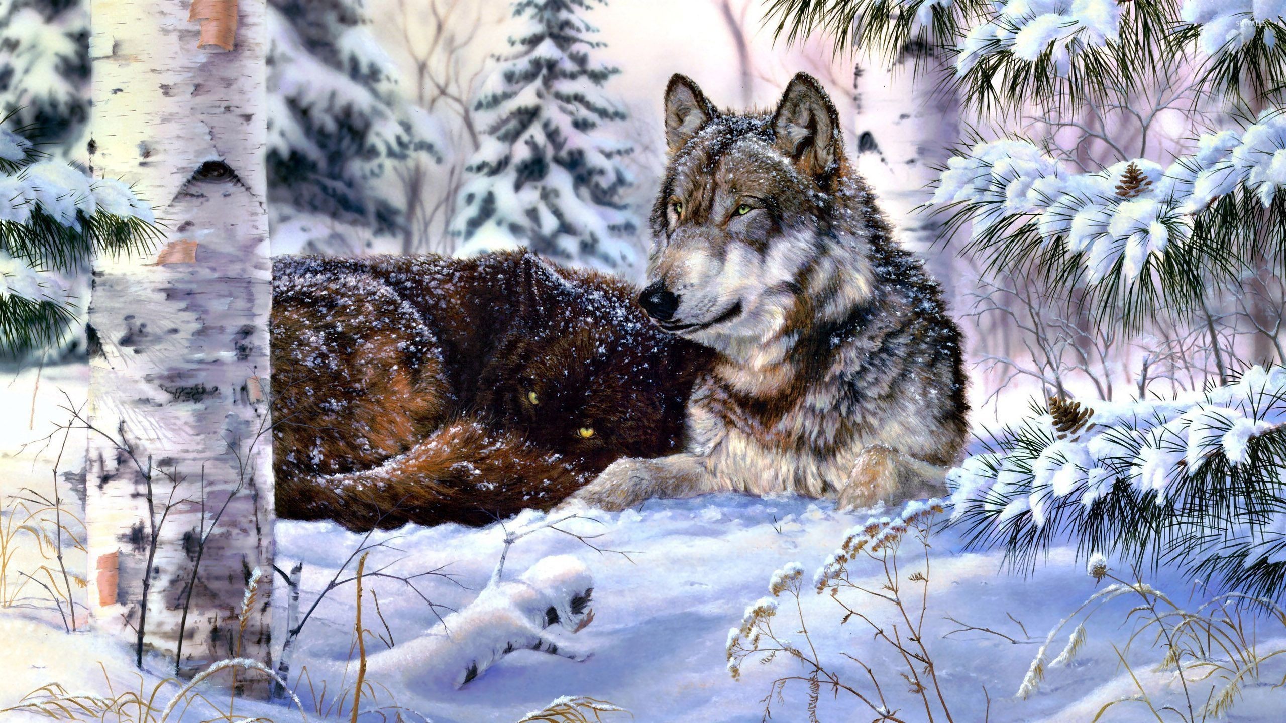2560x1440 Wolf in snow wallpaper