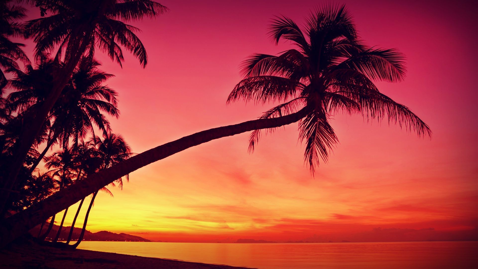 1920x1080 HD Tropical, Sunset, Palm Trees, Silhouette, Beach Wallpapers - HD Desktop  Wallpaper