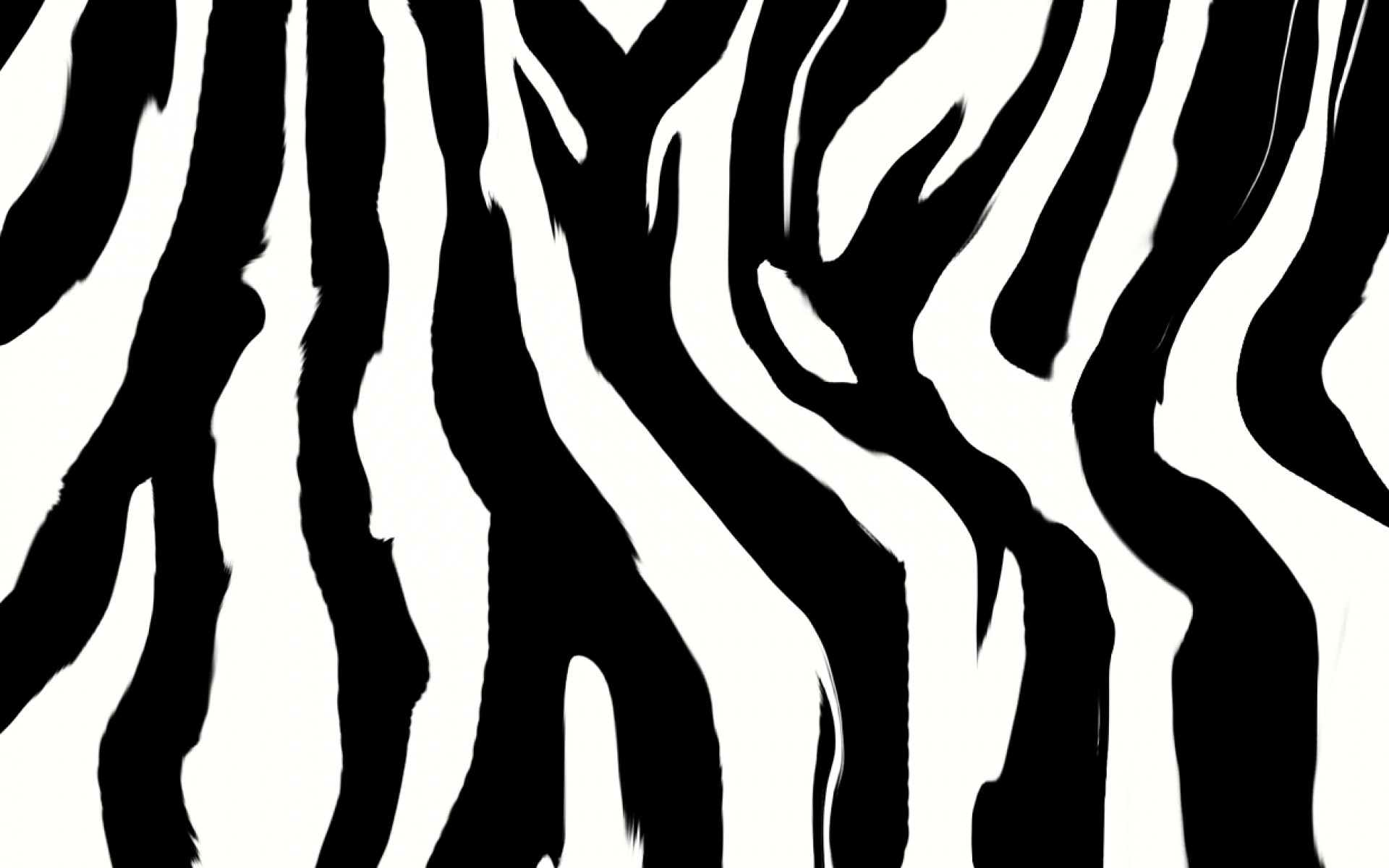 1920x1200 zebra print wallpaper uk. Â«Â«