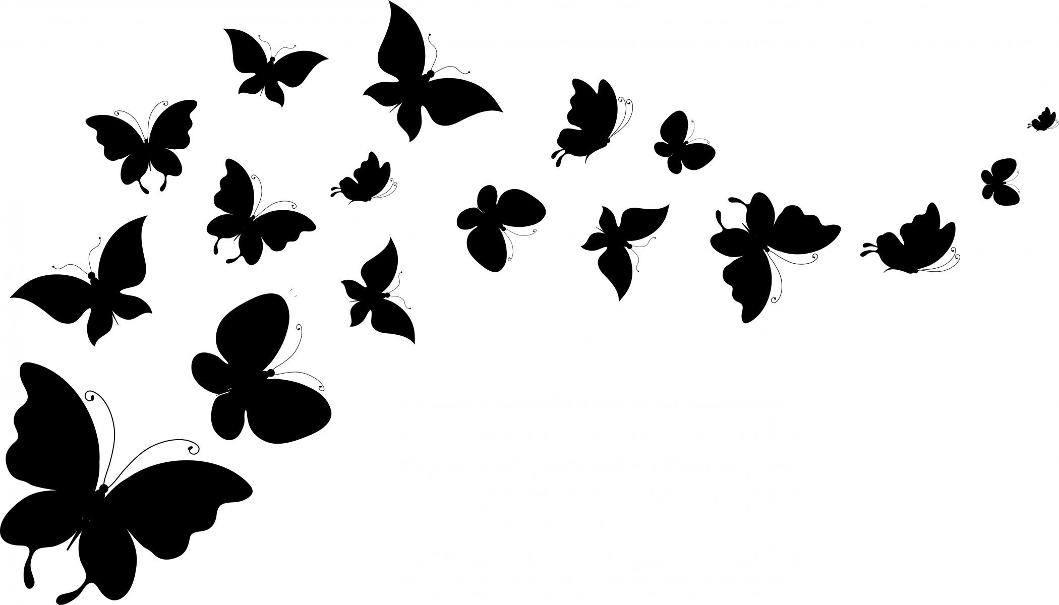 2100x1200  Butterfly Silhouettes Wings Background White Hd Wallpaper