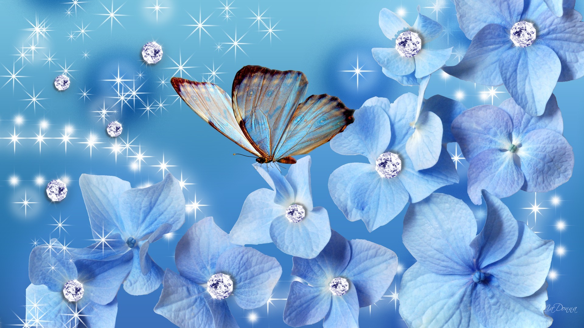 Blue Butterfly  Wonderful  Aesthetic Wallpaper Download  MobCup