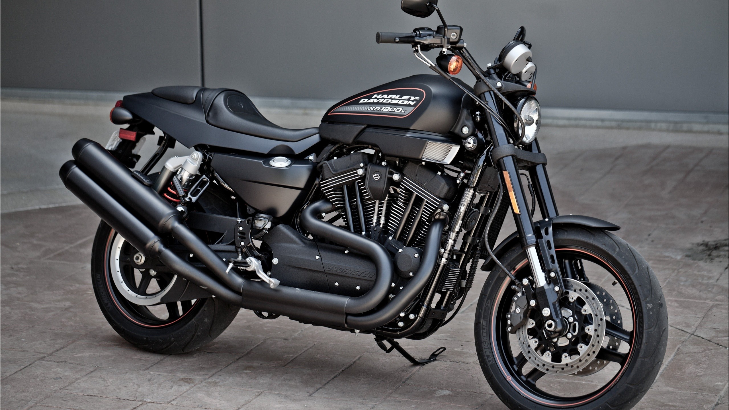 2560x1440  harley davidson, motorcycles, harley, black harley, bike .