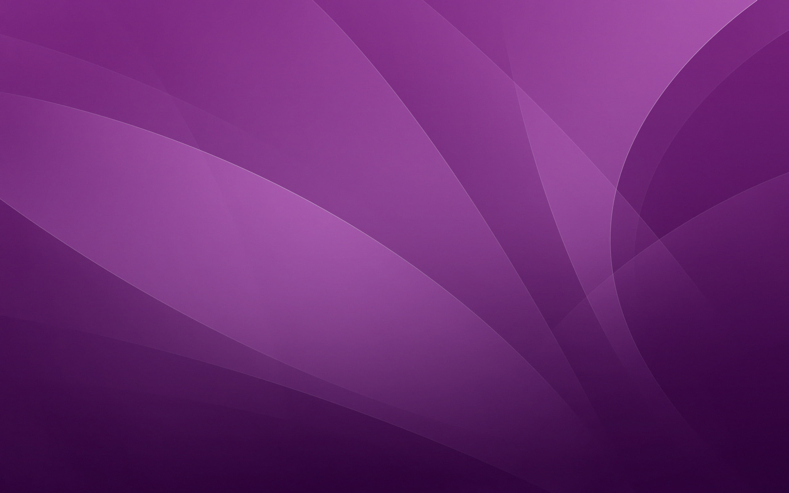 2560x1600 purple wallpaper, simple background, waveforms HD wallpaper