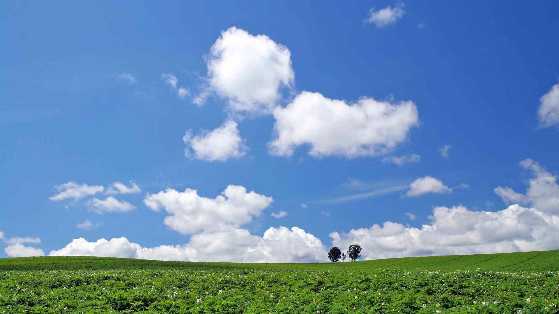 1920x1080 1440x9001280x800 Â· Hd white clouds in the blue sky scenic desktop  backgrounds