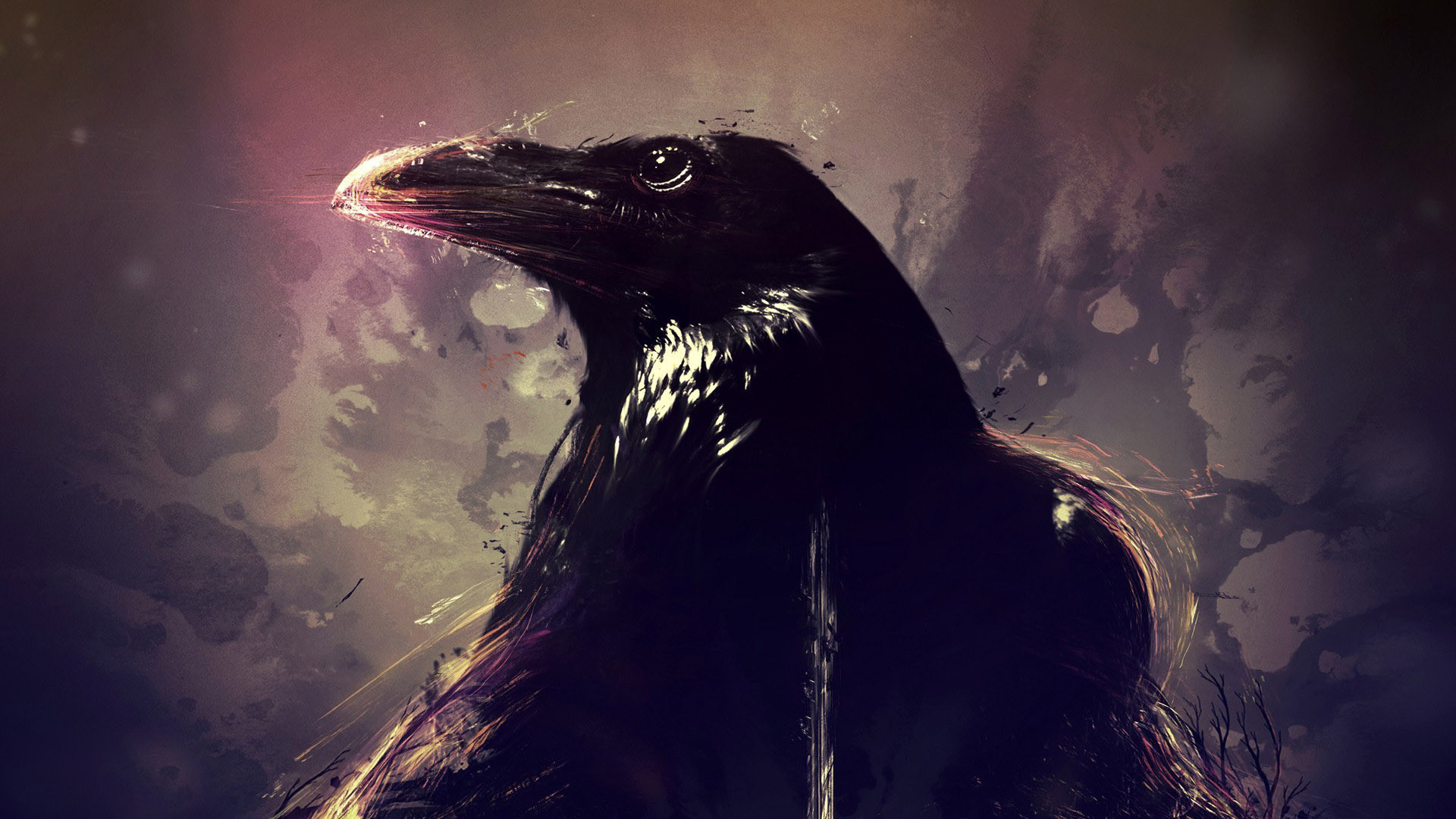 1920x1080 Full HD Wallpapers Crow 0.35 Mb
