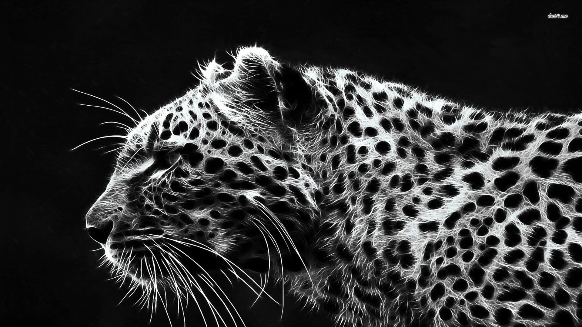 1920x1080 Animais Guepardo Predator (Animal) Animais Big Cat Papel de Parede |  Wallpapers Full HD | Pinterest | Wallpaper