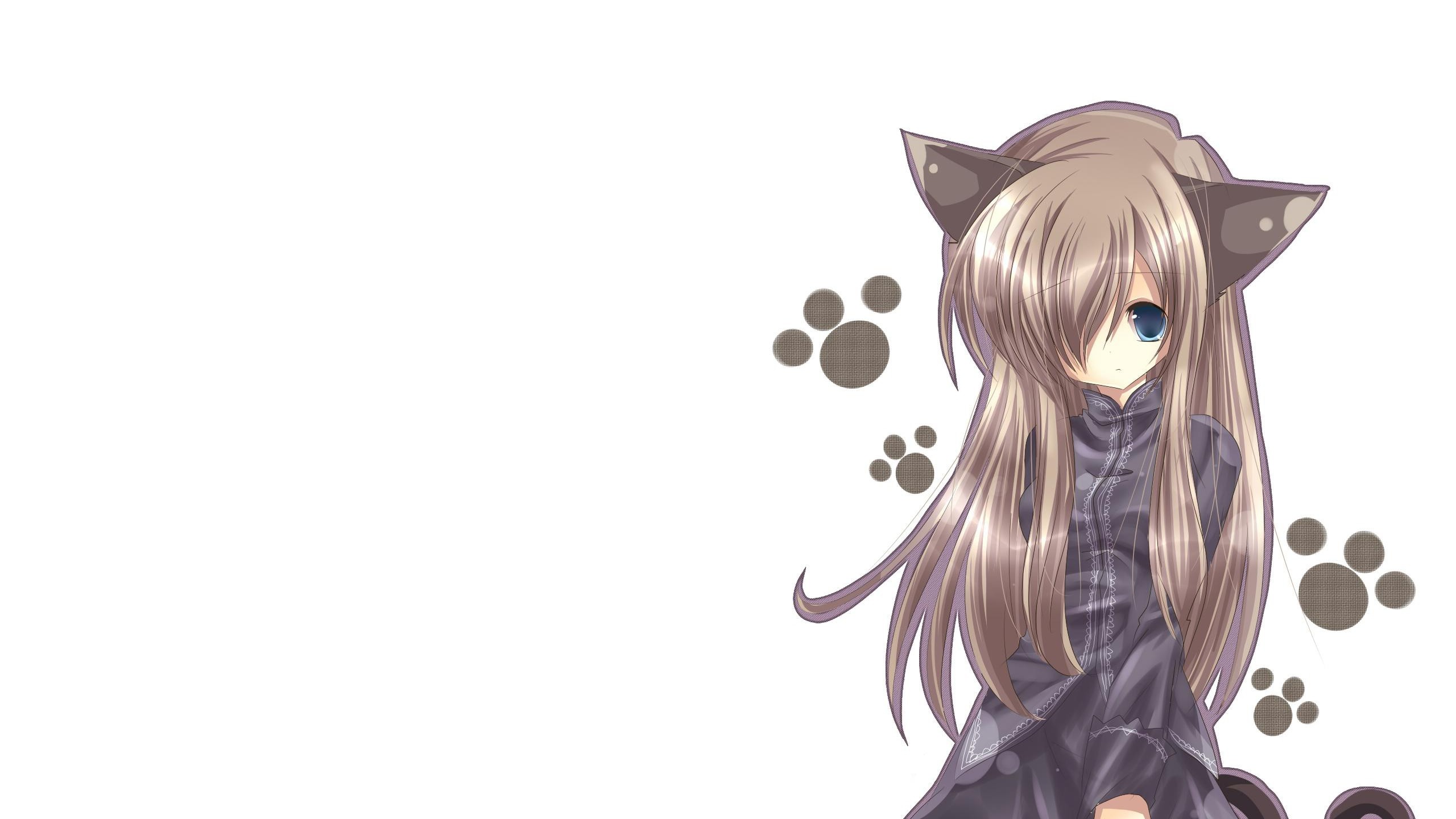 2560x1440  Wallpaper cat girl, nekomimi, art, anime, girl