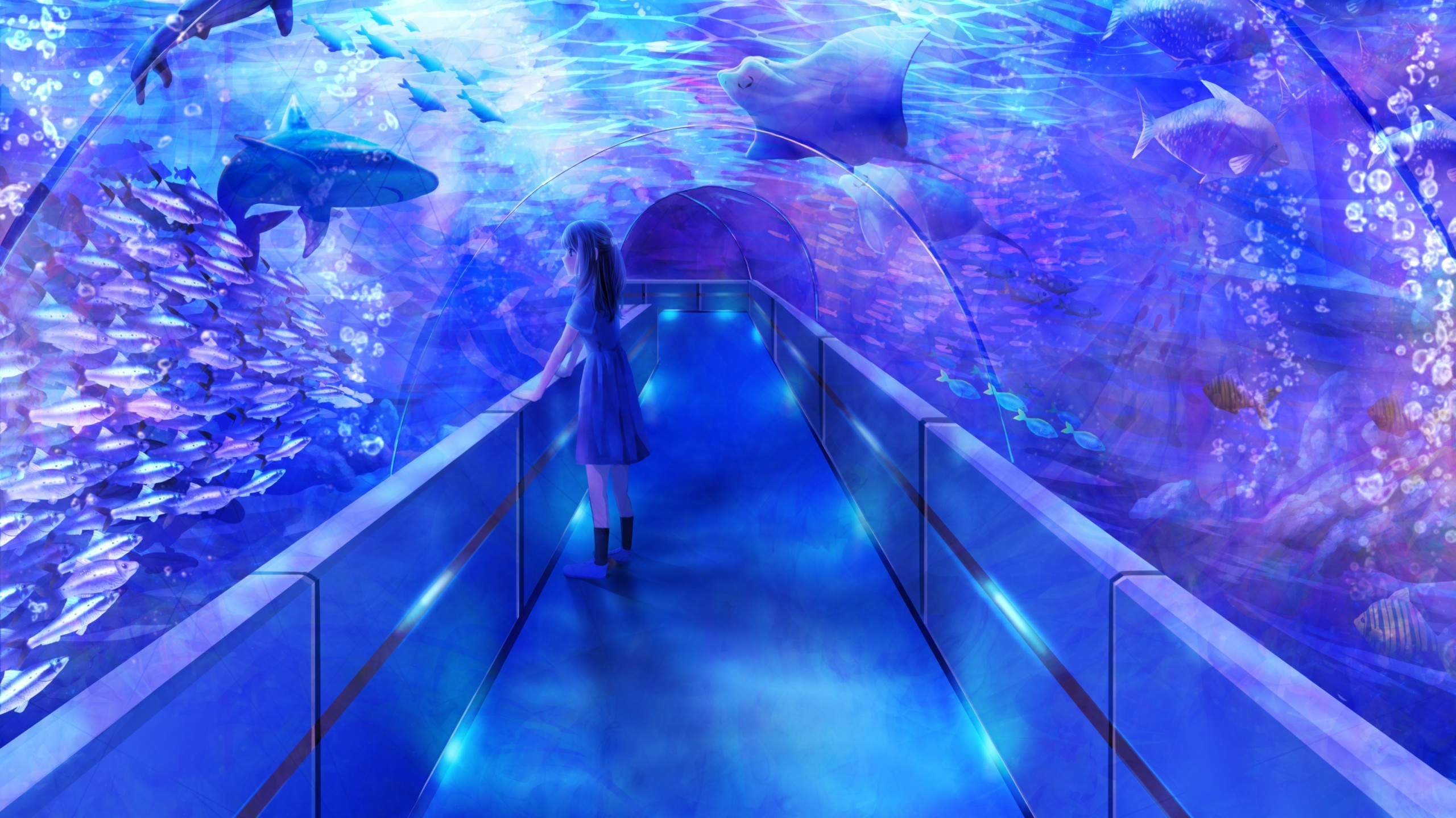 2560x1440 Anime Girl, Aquarium, Fish
