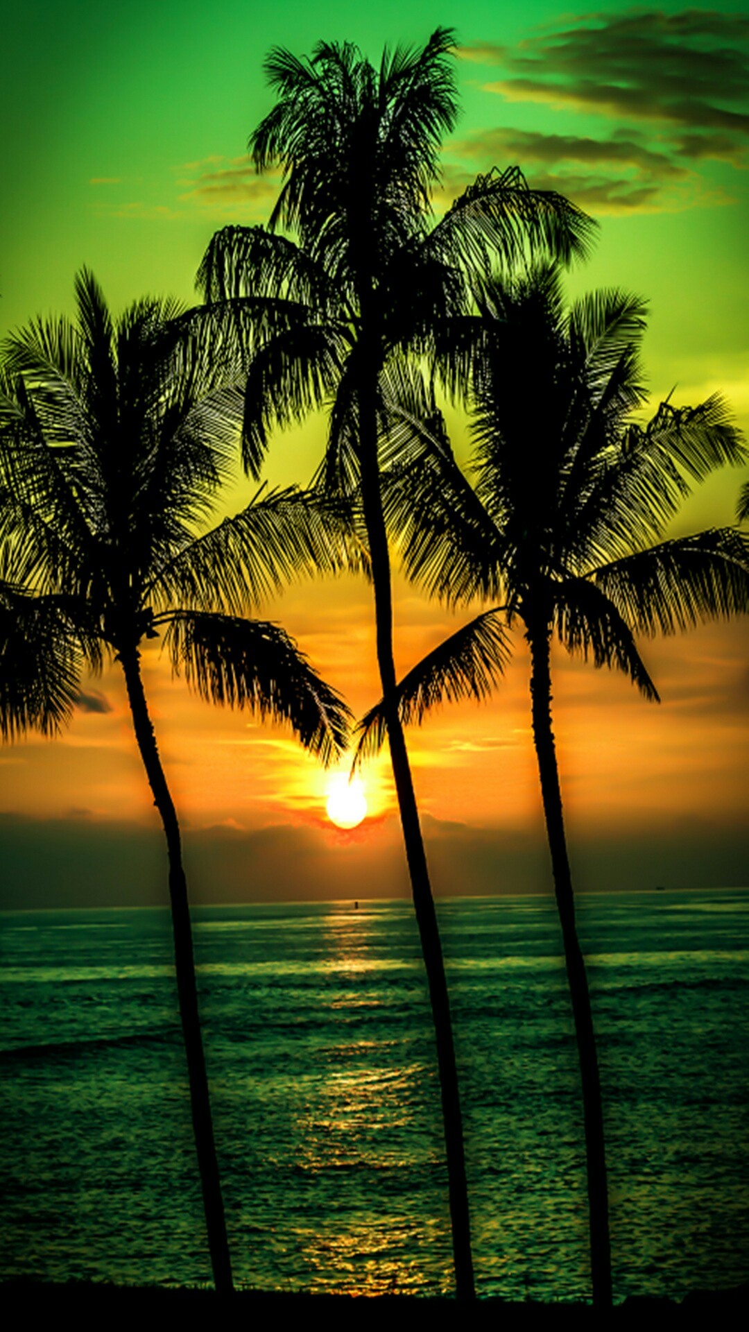 1080x1920 Palm tree sunset wallpaper