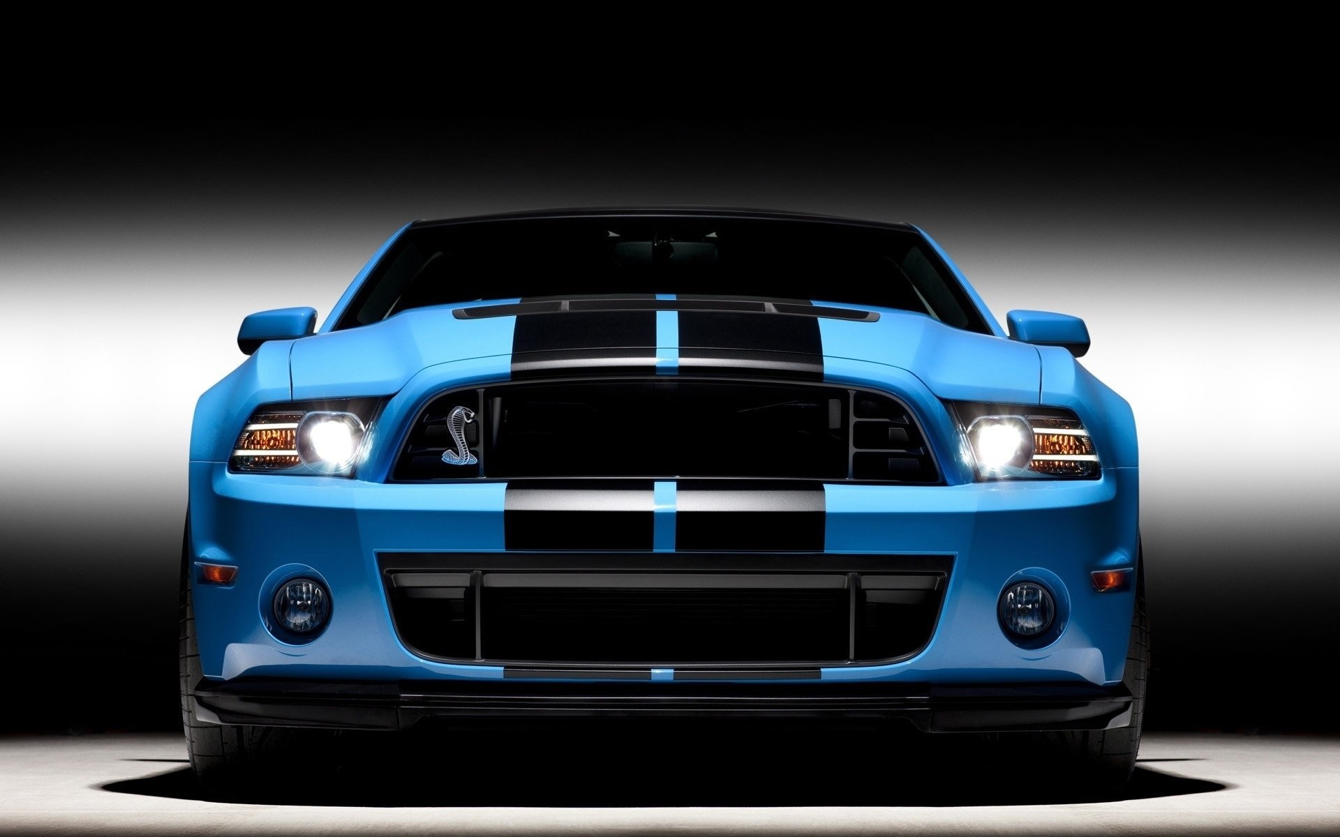 1920x1200 Wallpaper backgrounds Â· 2013 Gt5002013 Shelby Gt500Ford Mustang ...
