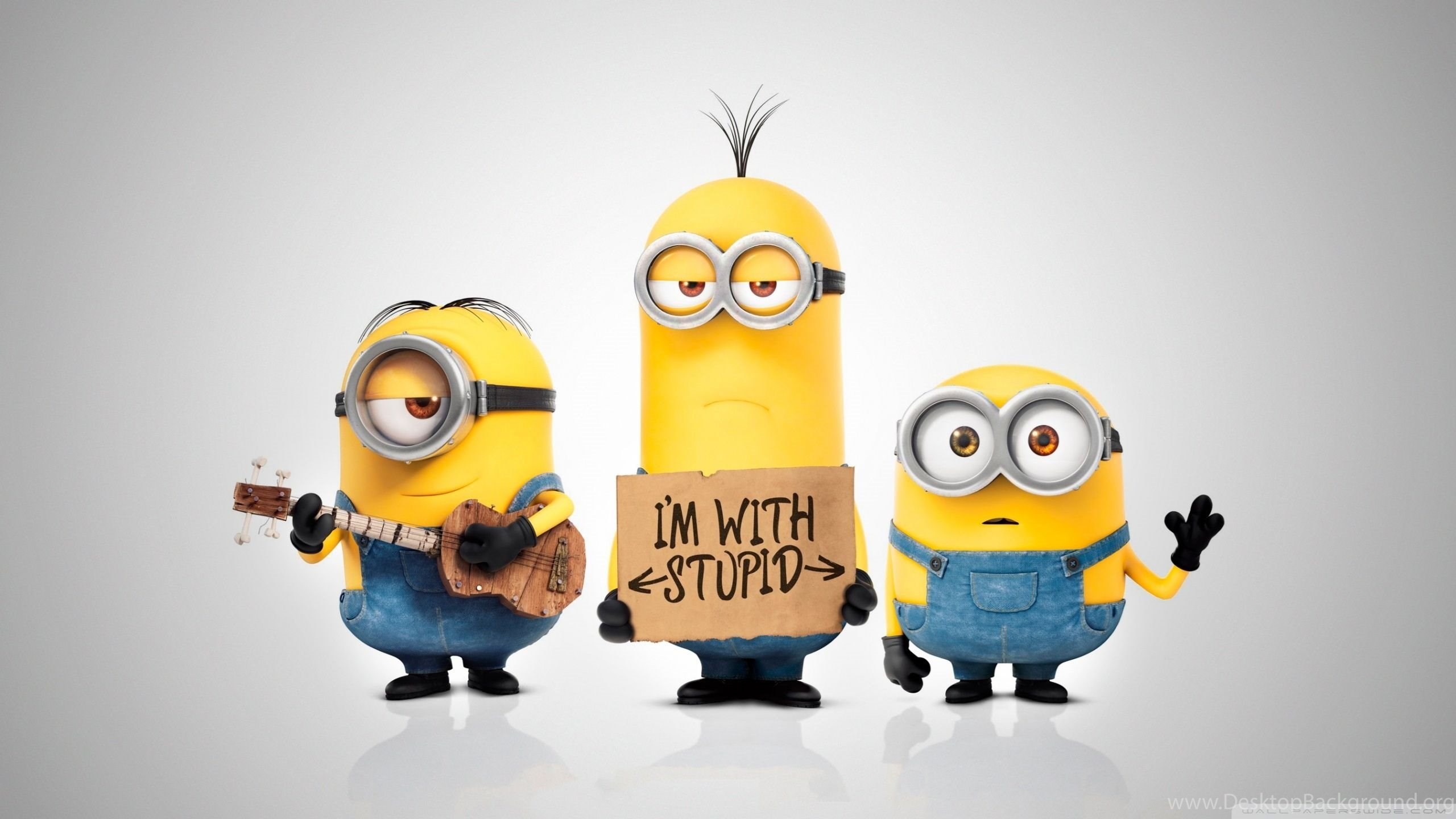 2560x1440 Download This Beautiful Movie Wallpapers Of Minions I'm With Stupid .
