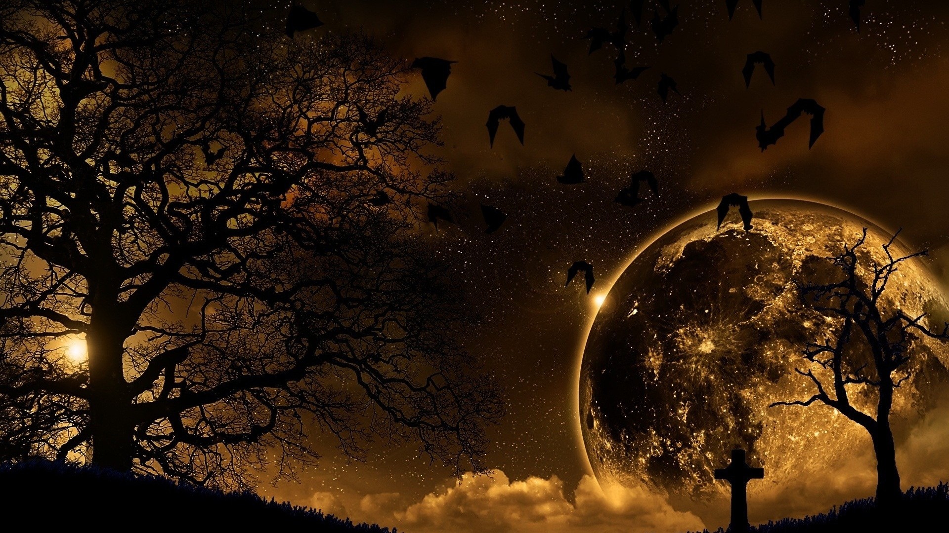 1920x1080 Preview wallpaper trees, nature, night, planet, birds, landscape 