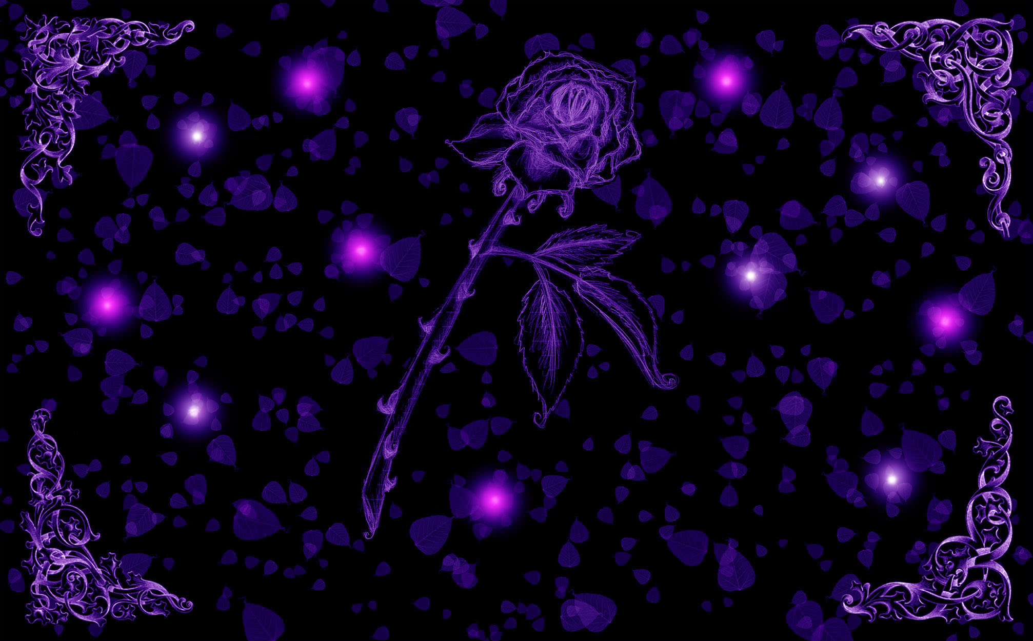2014x1250 Purple Passion Rose Wallpaper by silverperfume on deviantART
