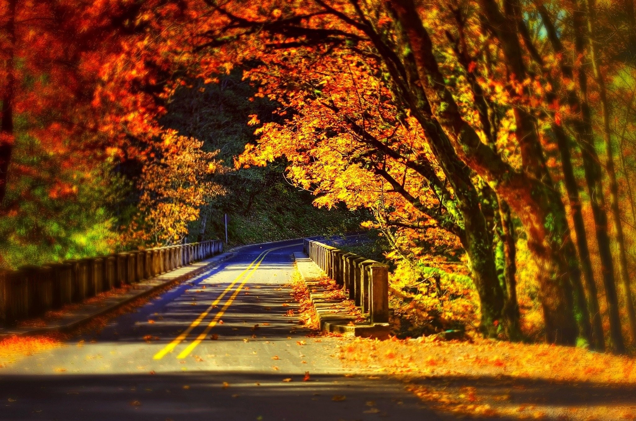 2048x1358 Leaves Fall Colorful autumn road bridge wallpaper |  | 620507 |  WallpaperUP