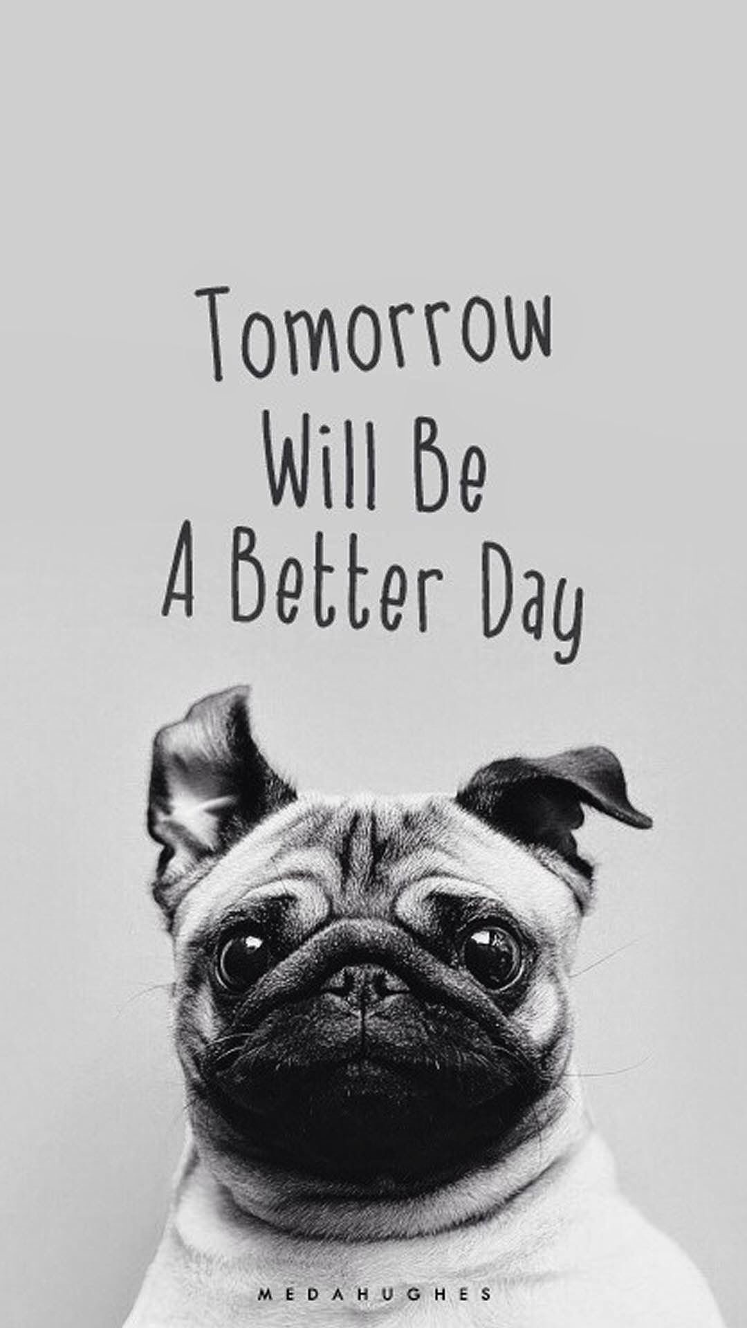 1080x1920 Tomorrow Will Be A Better Day Pug Face iPhone 6 Plus HD Wallpaper