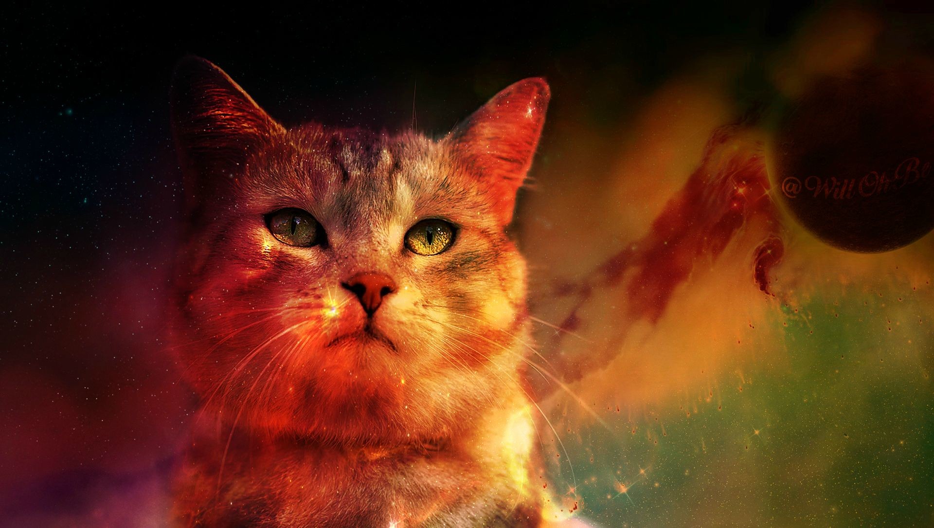 1920x1085 The Majestic Space Cat ...