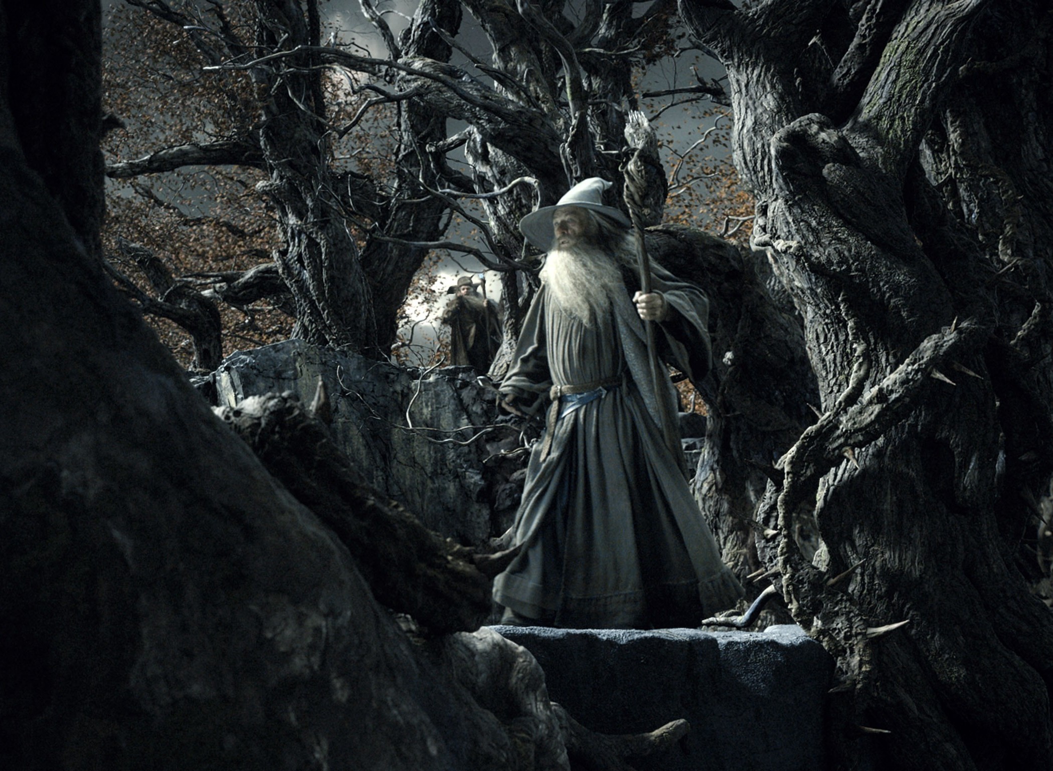 2100x1538 Gandalf, Radagast, The Hobbit: The Desolation Of Smaug, Ian McKellen  Wallpapers HD / Desktop and Mobile Backgrounds