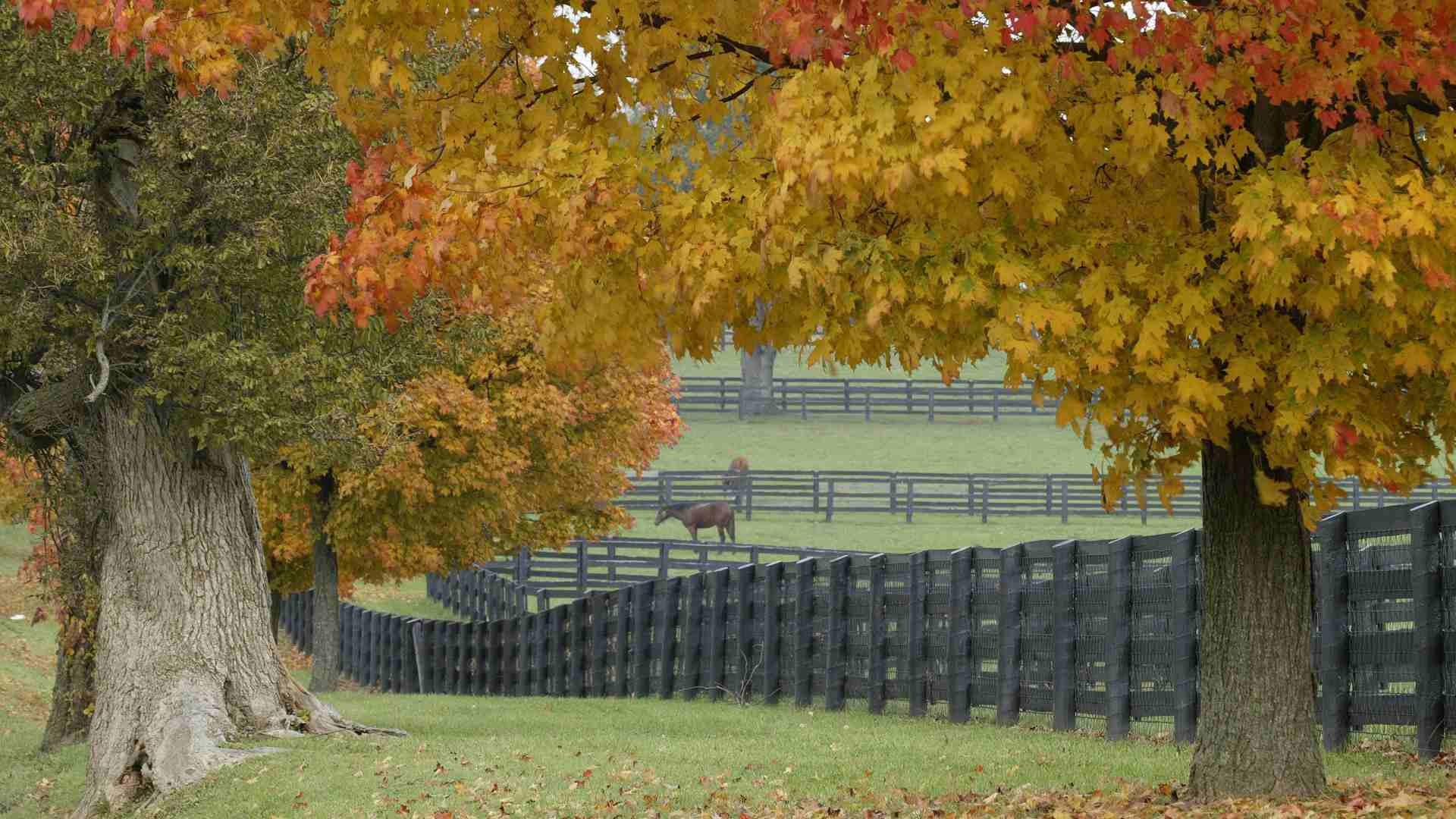 1920x1080 Autumn I Want by Wallpaper Stock