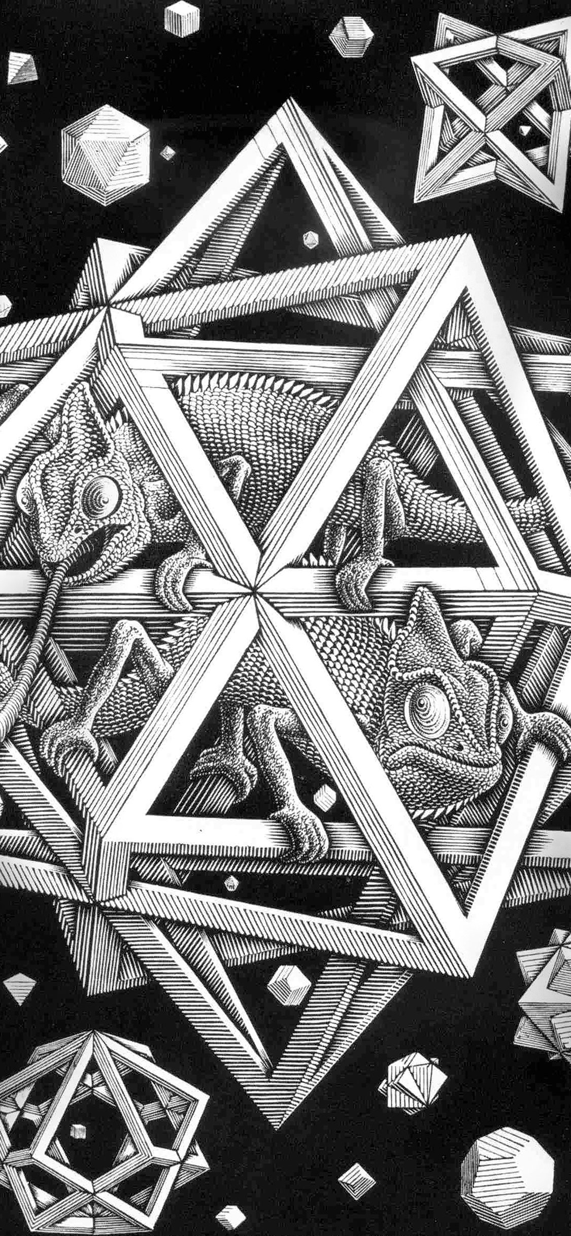 1125x2436 ah71-mc-escher-space-art-illust-lizard-bw