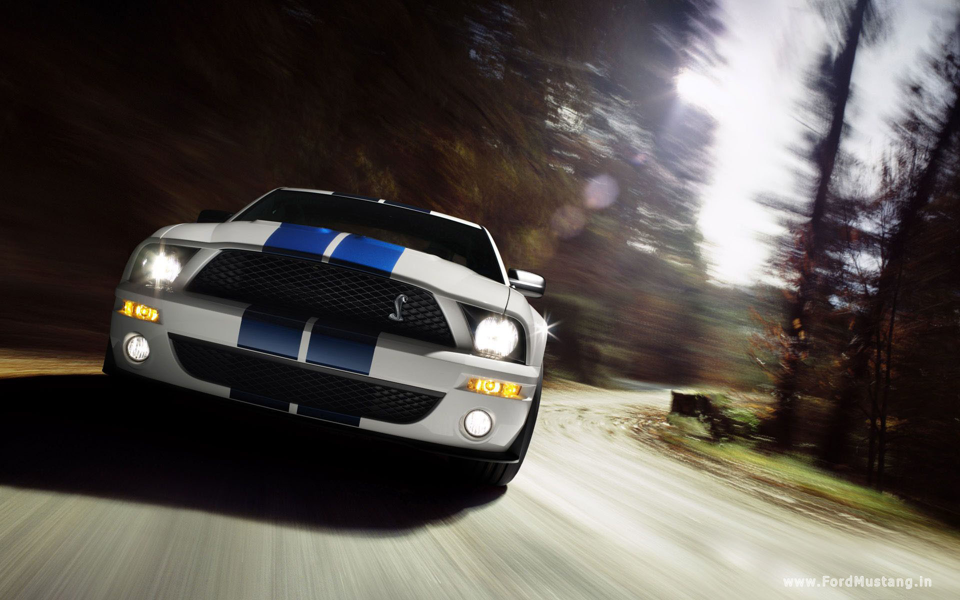 1920x1200 Ford Mustang wallpapers (HQ – High quality)