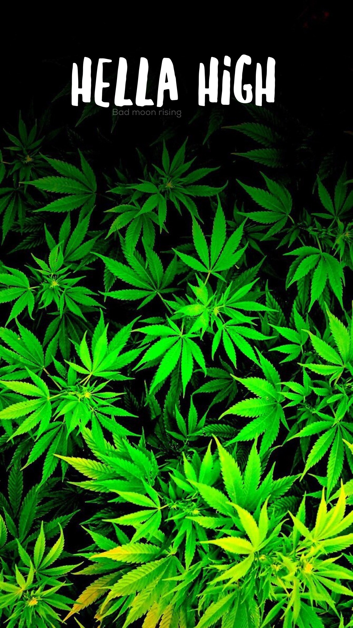 1152x2048 Hella high, iPhone wallpaper background Stoner marijuana