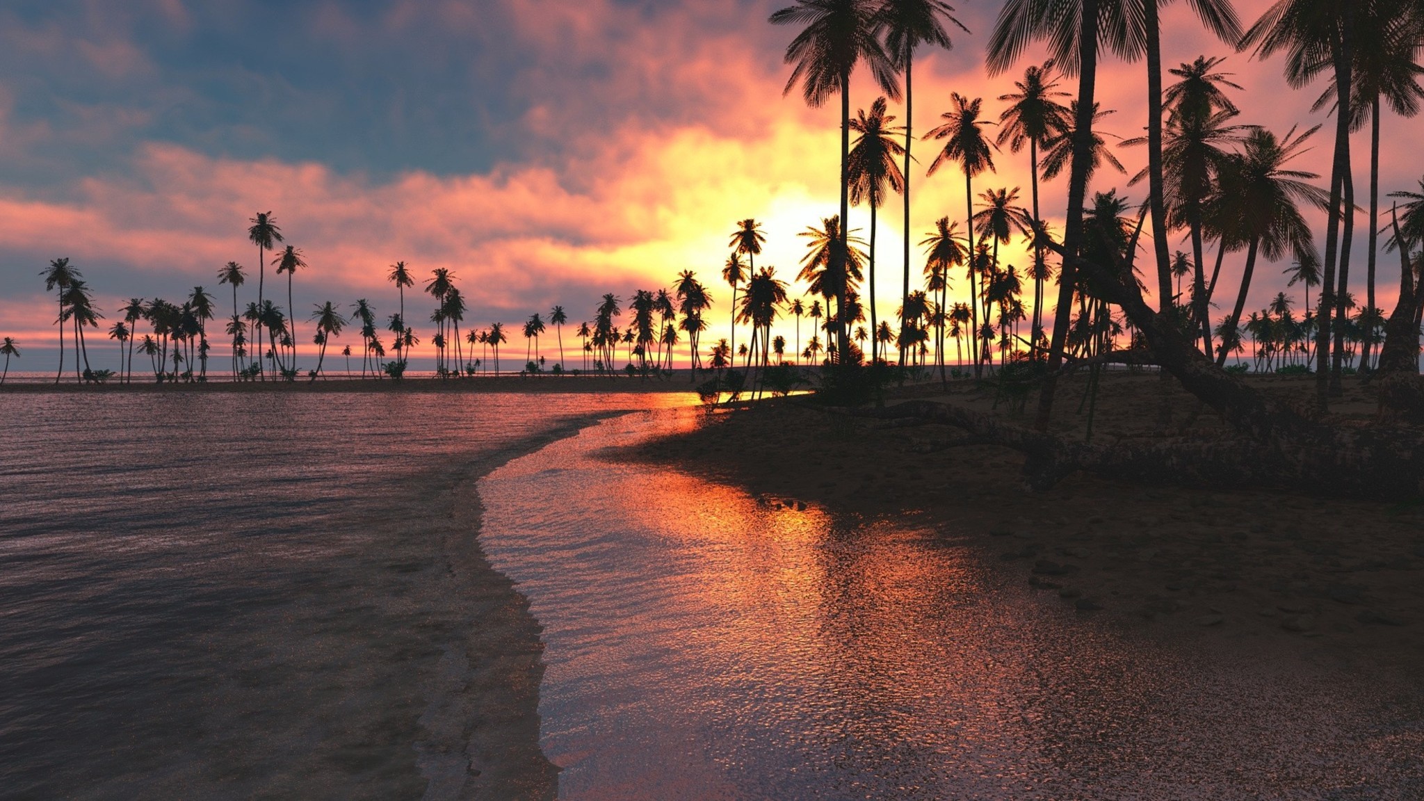 2048x1152 palm-trees-sunset-sea.jpg