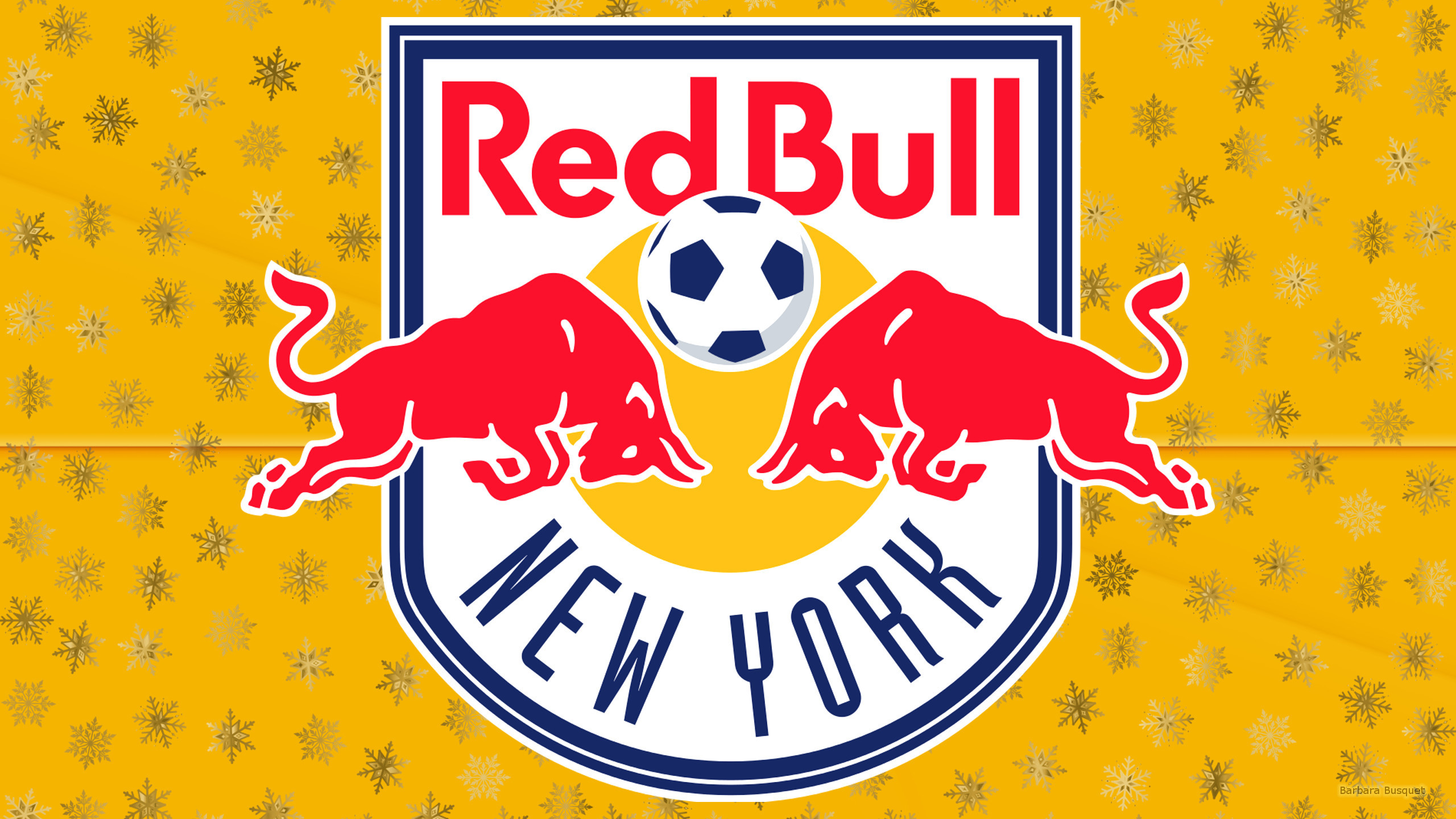 2560x1440 Orange New York Red Bulls football logo wallpaper