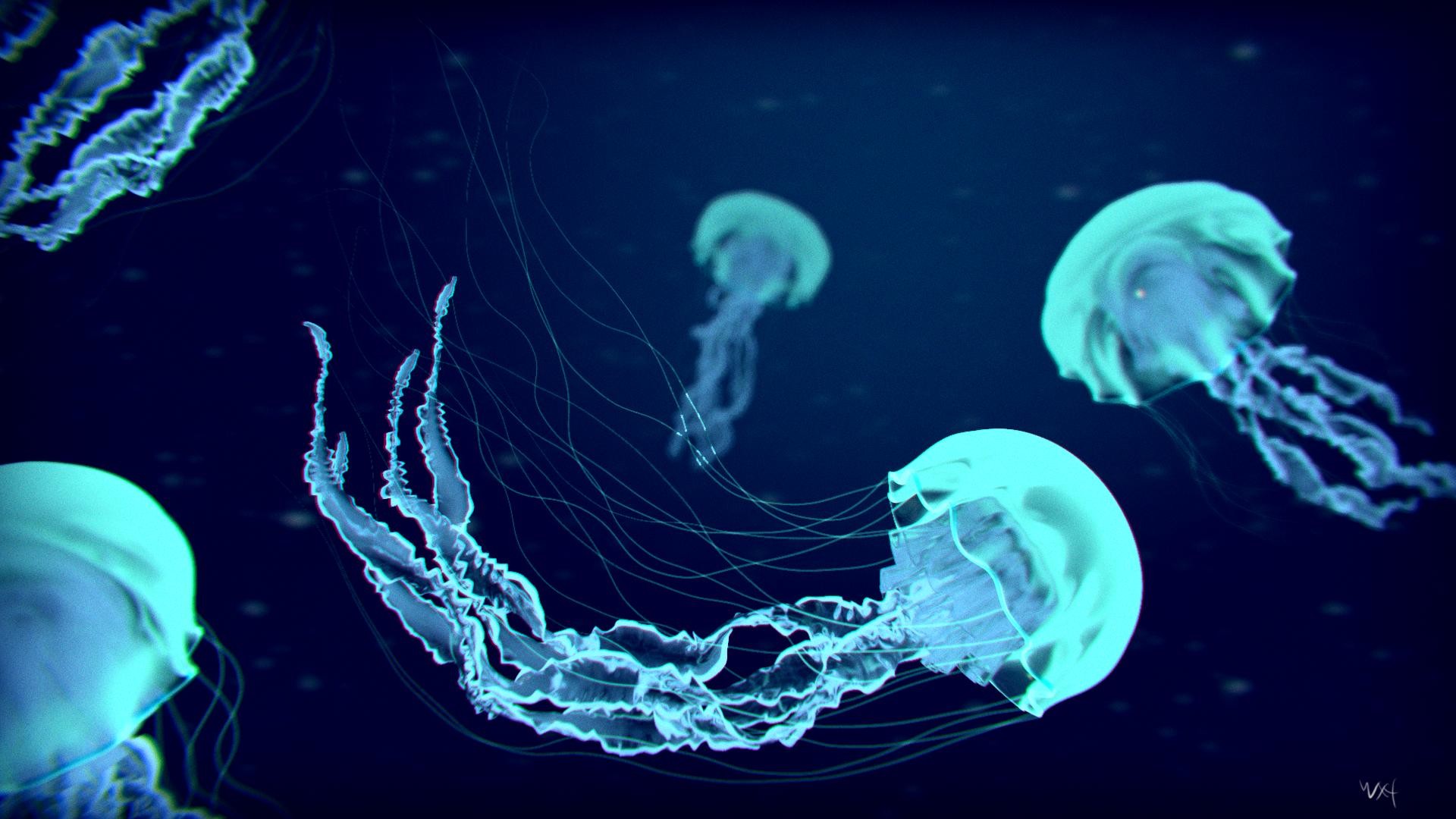 1920x1080 Jelly Fish Wallpapers - Wallpaper Cave