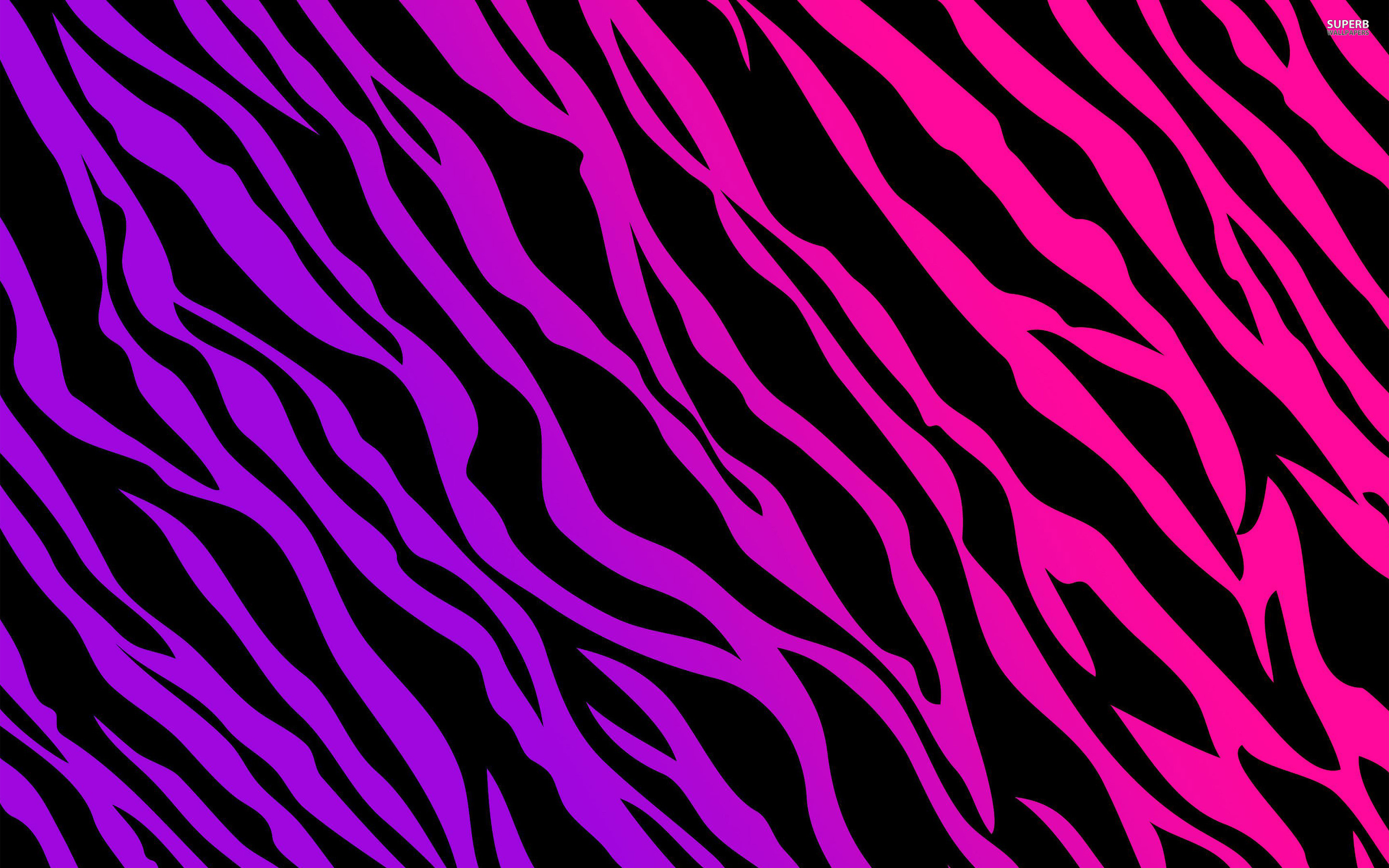 2880x1800 zebra print wallpapers pink purple. Â«Â«