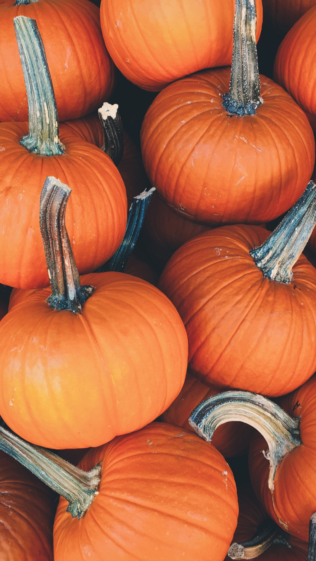 1080x1920 Wallpaper Weekends: A Touch of Pumpkin Spice for Mac, iPhone, iPad, and