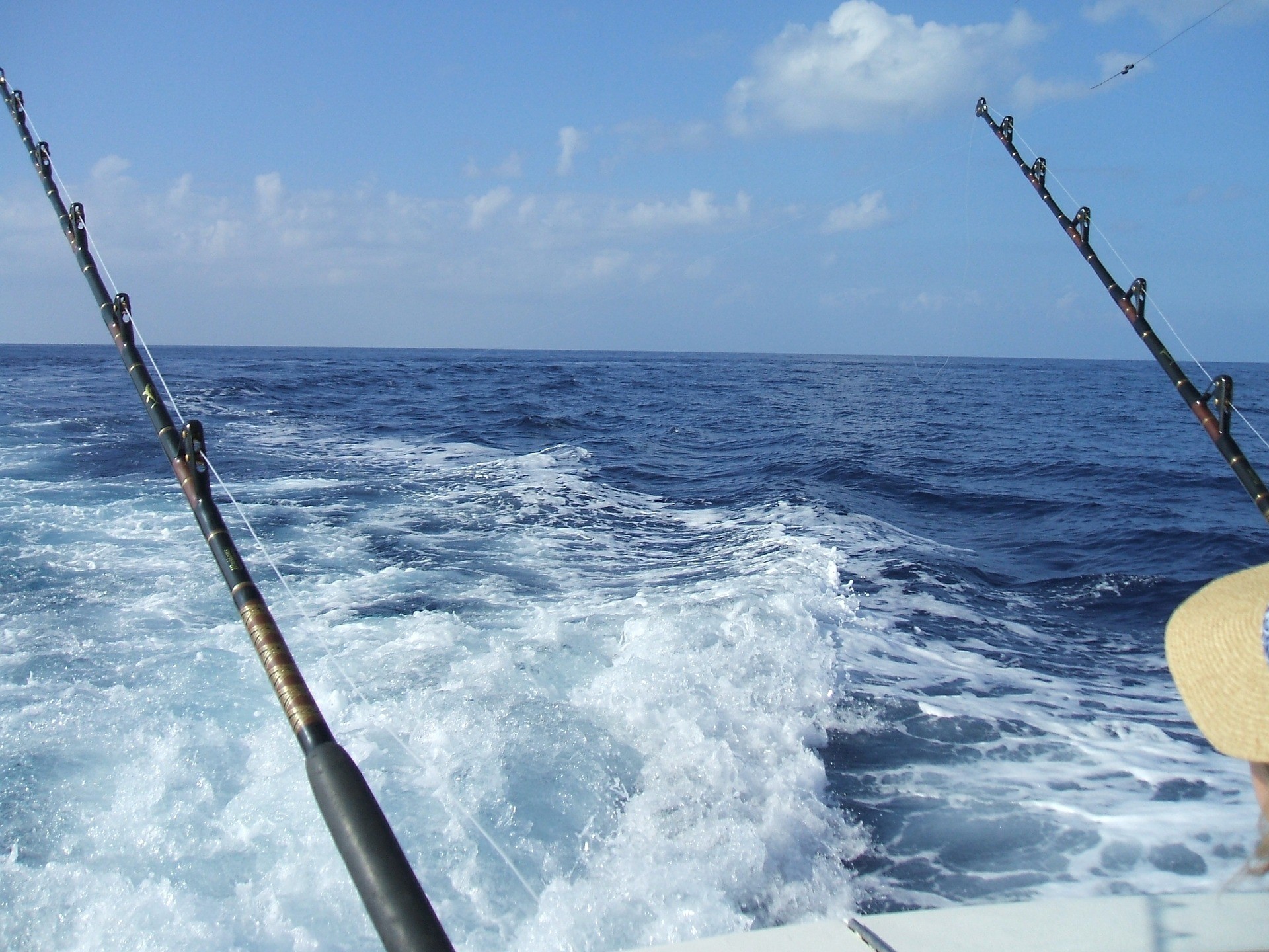1920x1440 2048x1536 DEEP SEA FISHING TRIPS