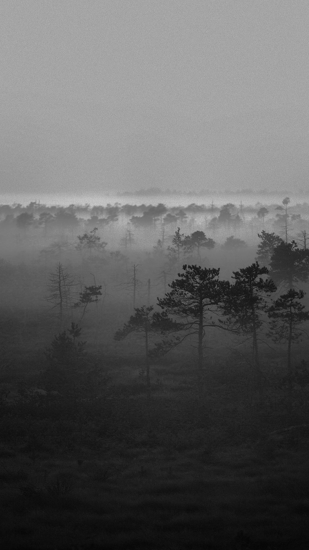 1080x1920 ... phone background; black white misty woods android wallpaper free  download ...