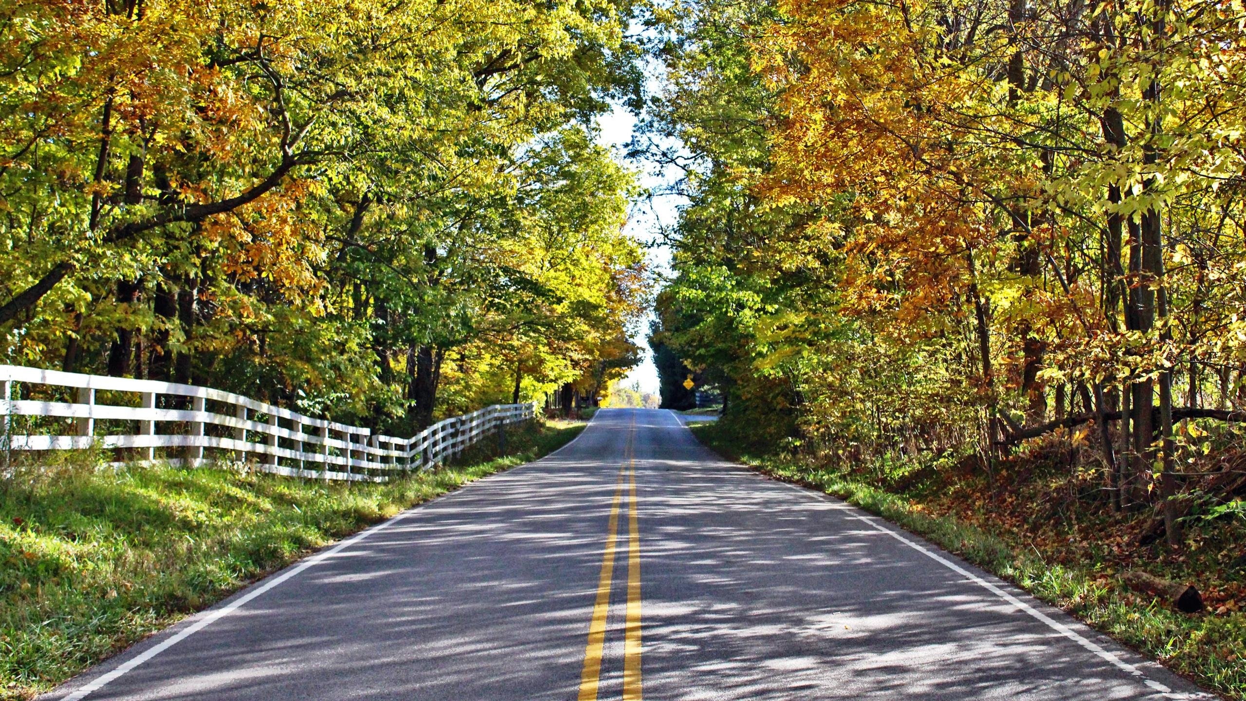 2560x1440 Indiana Autumn Country Road Background Images Desktop