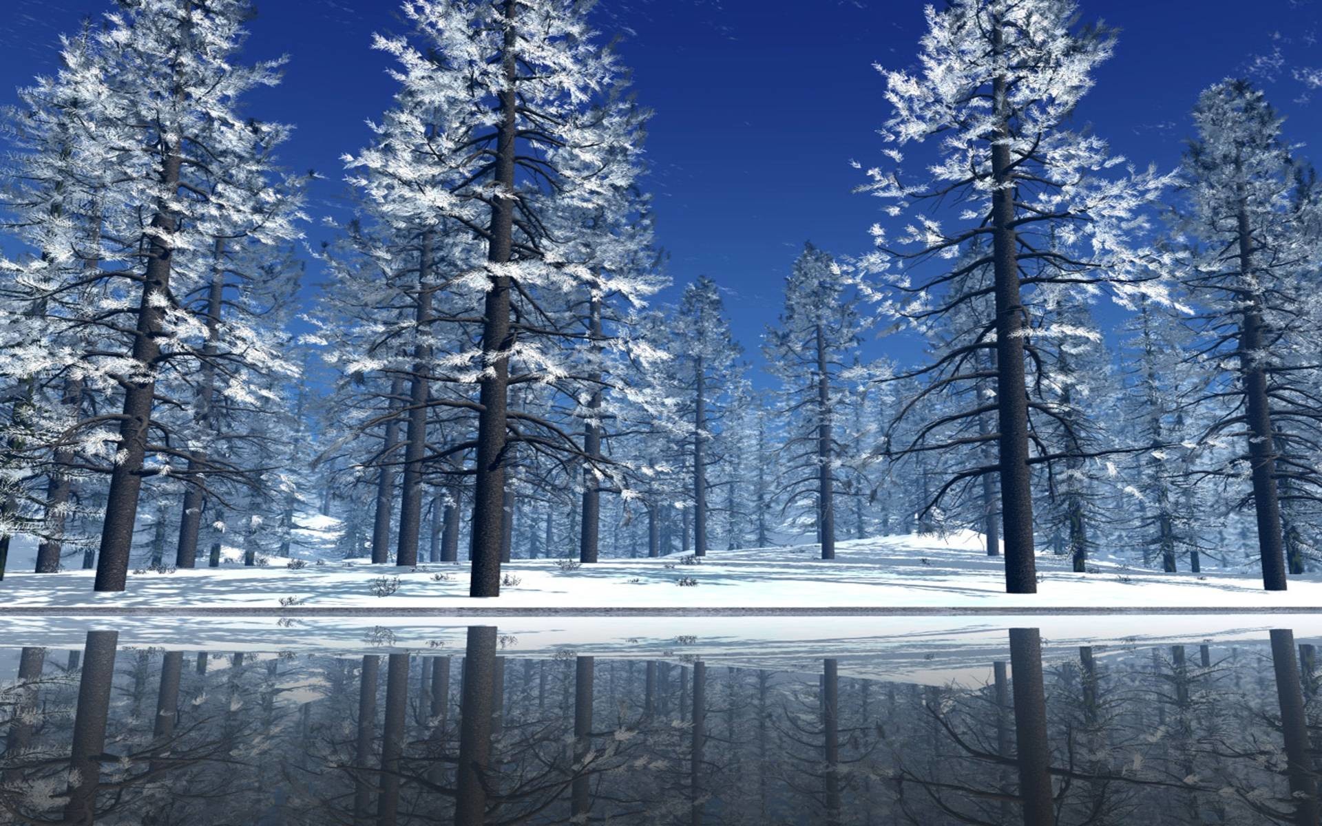 1920x1200 Snow Pine Tree free background.