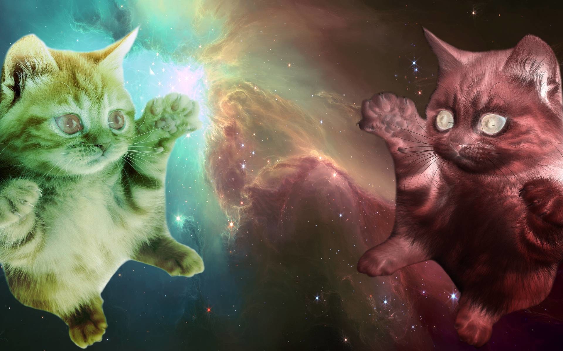 1920x1200 My collection of OC (outerspace cats) These have been fun to do. I will  keep making them and adding them to the album later.