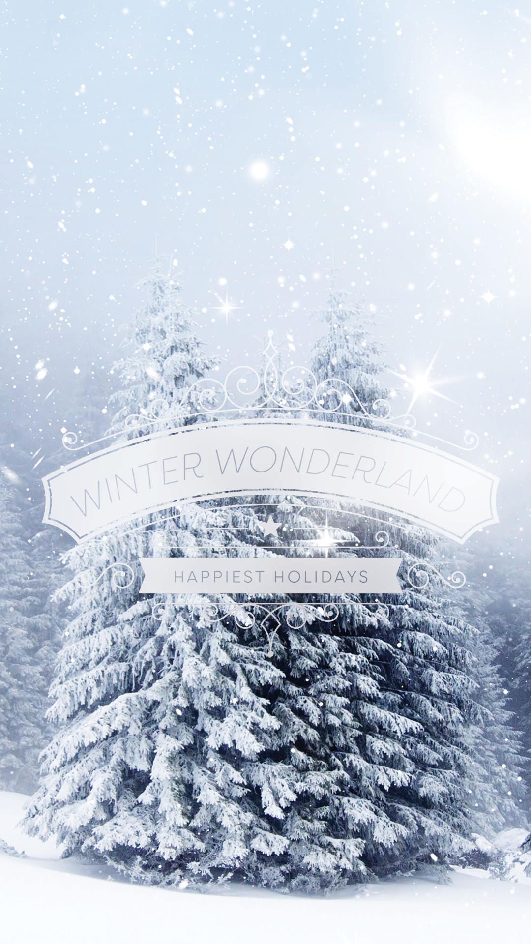 1080x1920 Winter Wonderland Download