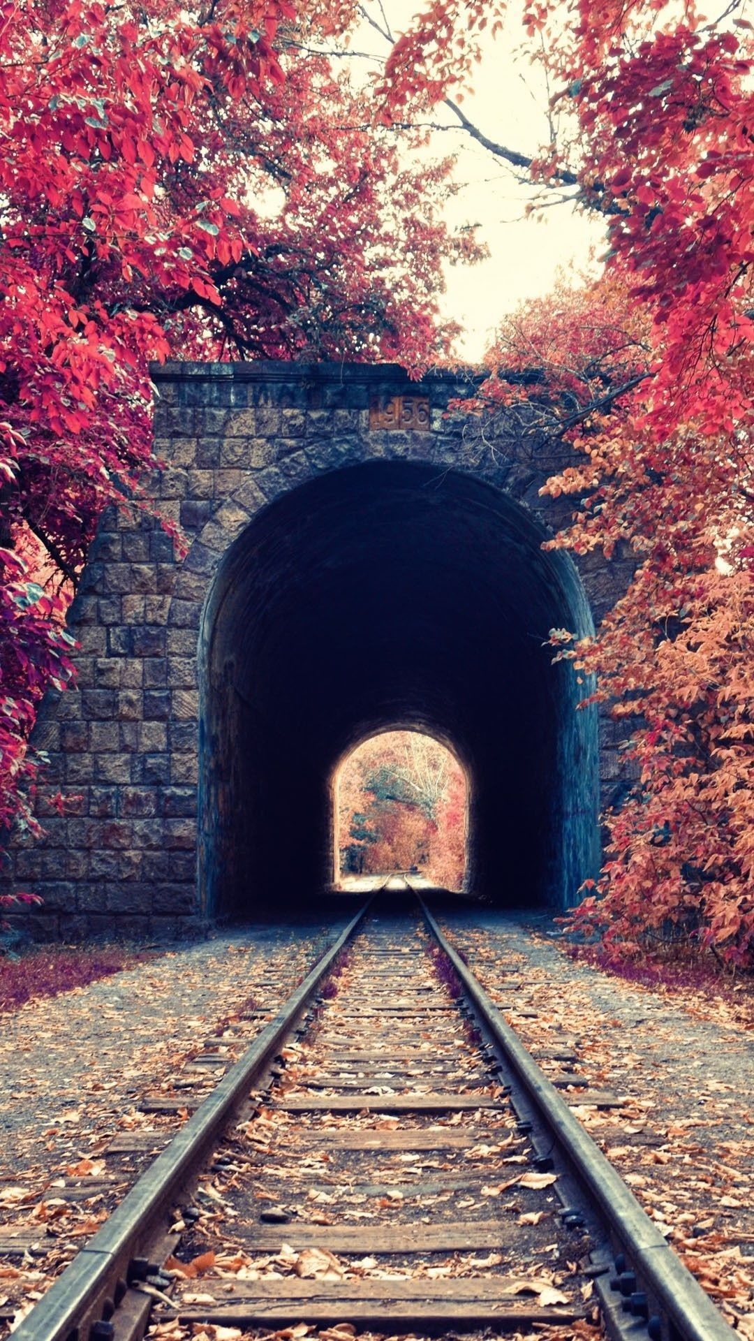 1080x1920 Autumn Train Tunnel Red Tree Leaves iPhone 6 Plus HD Wallpaper