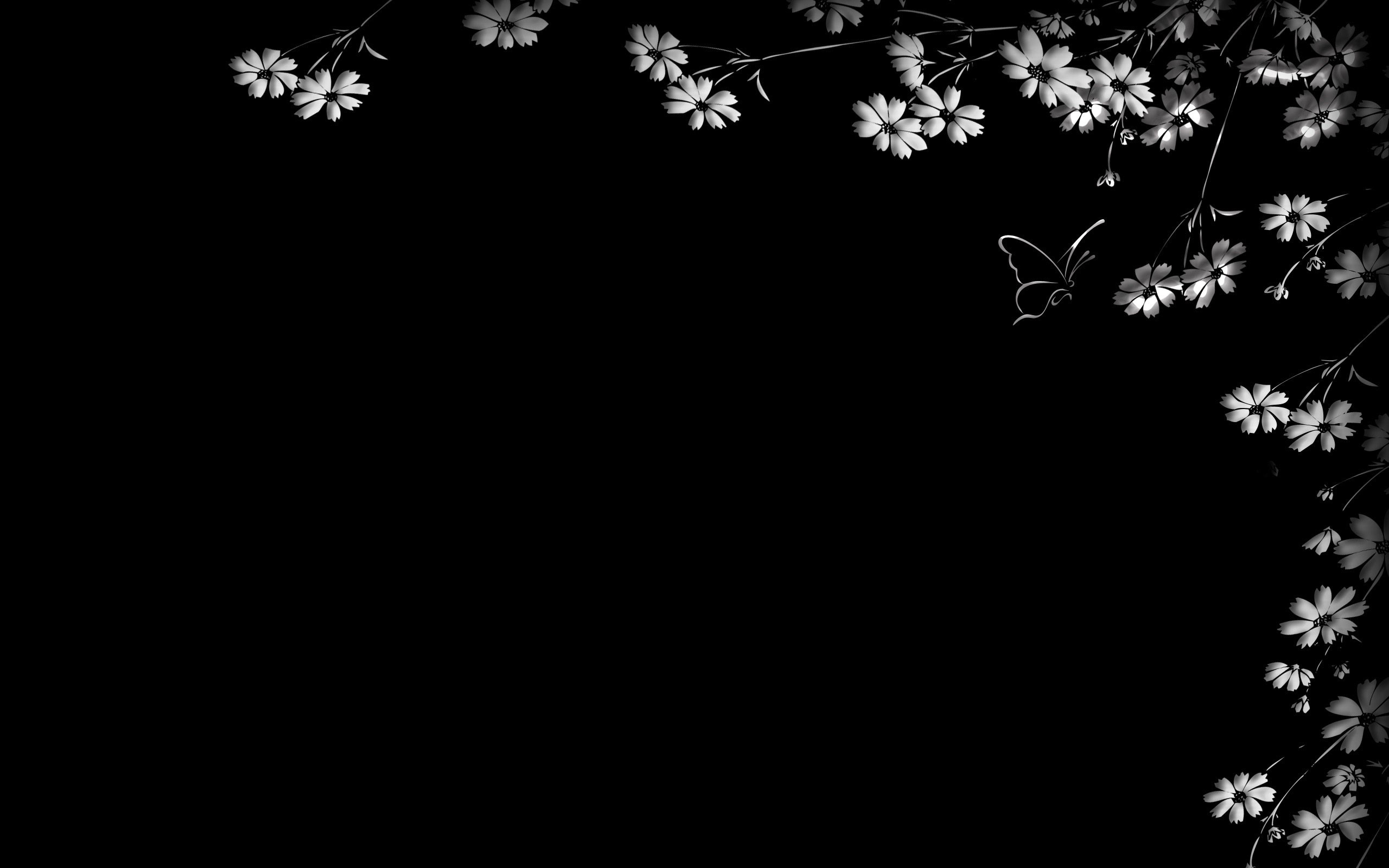 2560x1600 Cute Black And White Floral Backgrounds cute pink background wallpaper —  Stock Image