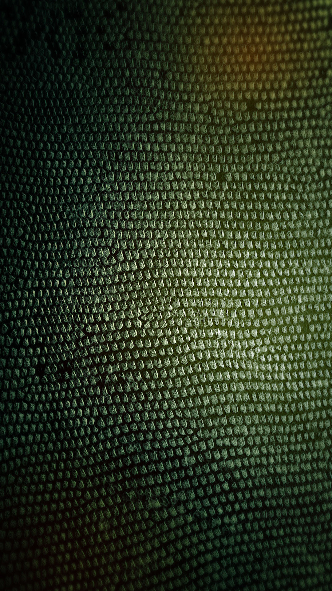 1080x1920 Meizu MX5 Wallpaper: Snakeskin Mobile Android Wallpapers