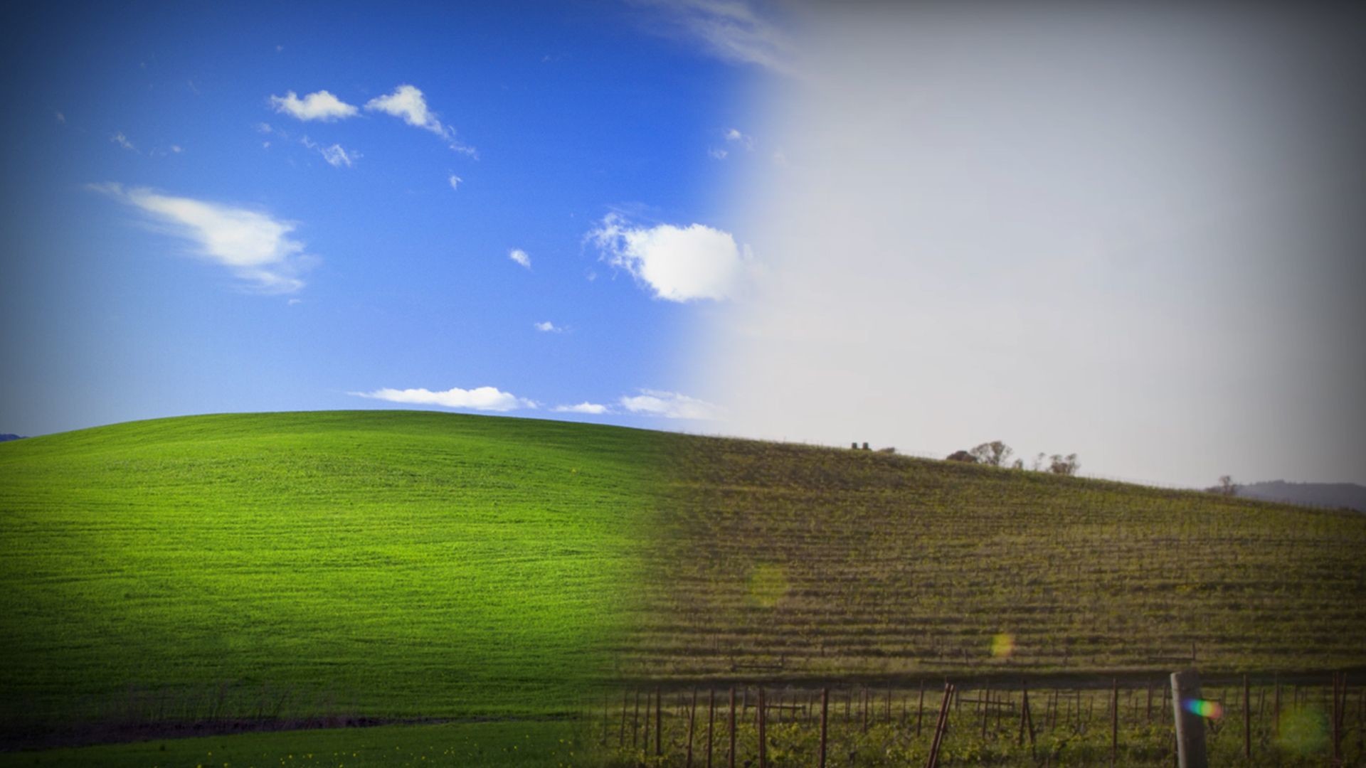 1920x1080 Hintergrundbild von Windows XP: Das zweitteuerste Foto aller Zeiten - CHIP