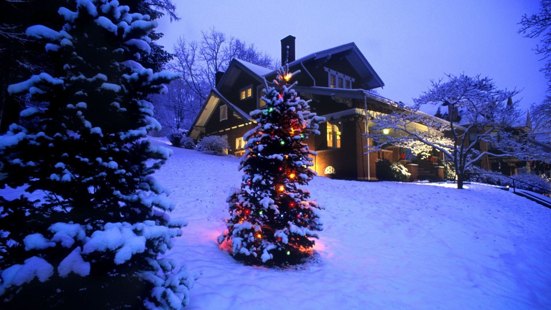 1920x1080 Xmas Stuff For > Christmas Tree Snow Scene