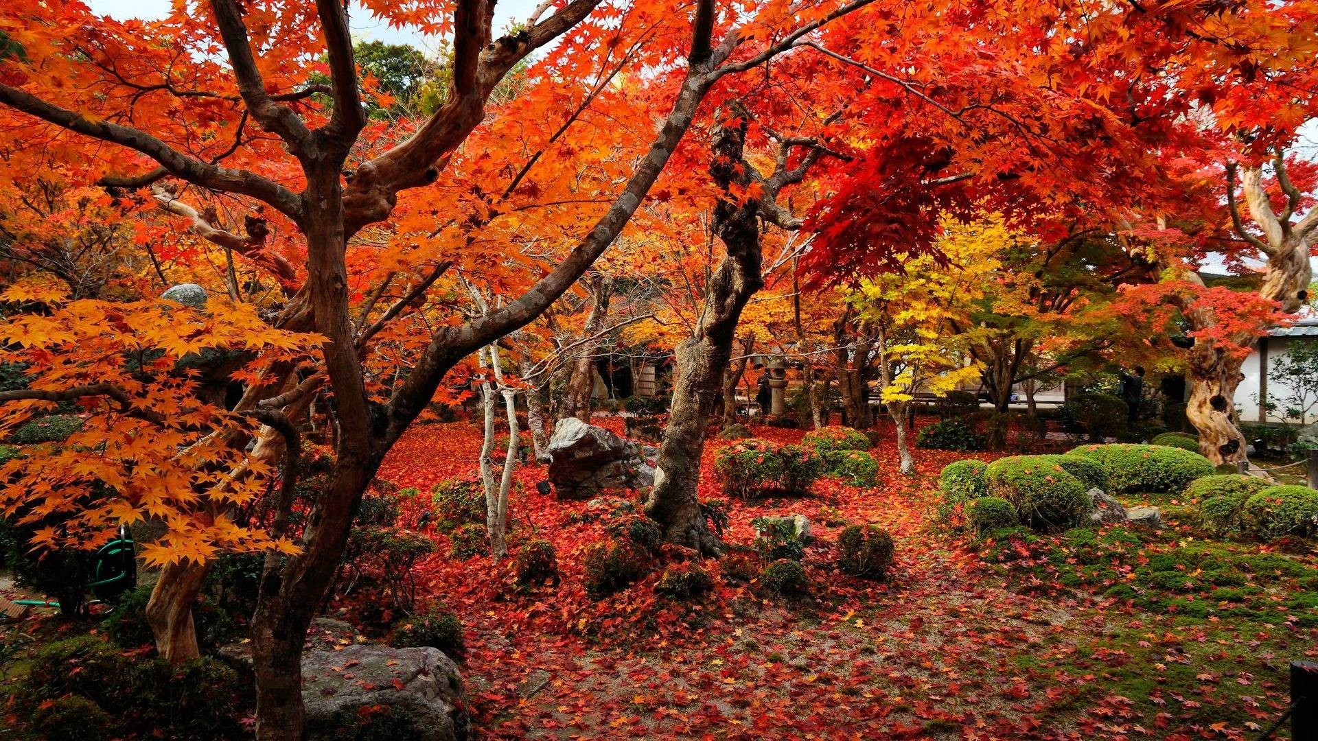 1920x1080 Wallpaper autumn wallpapers temple enkoji colorful world  .