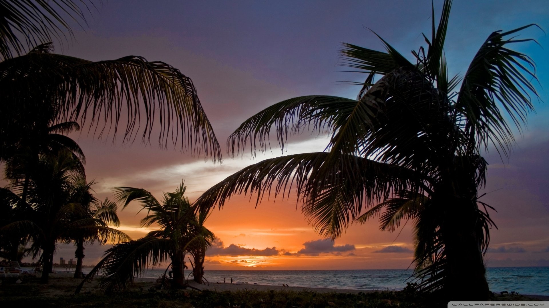 1920x1080 Beach Sunset With Palm Trees ...