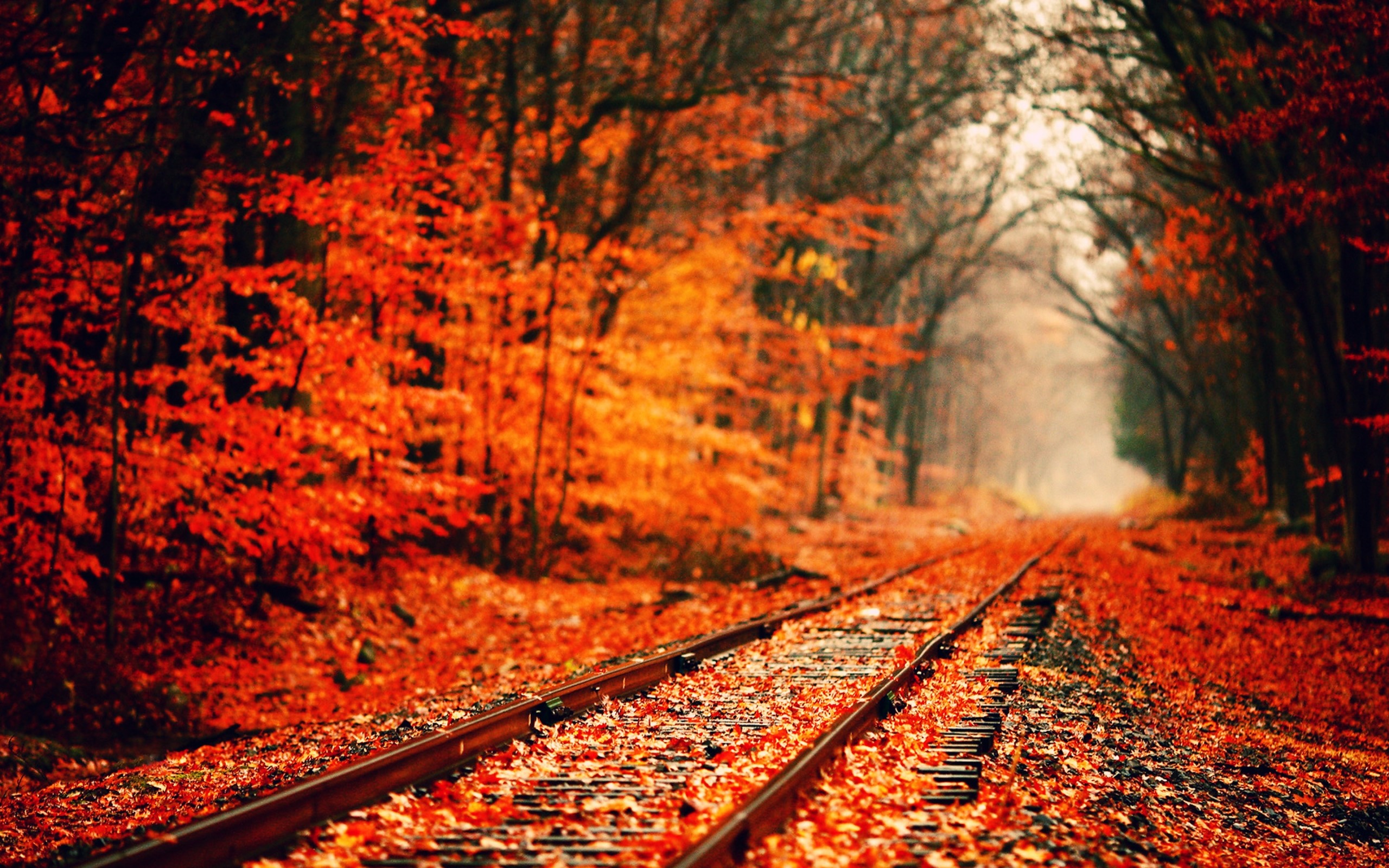 2560x1600 0 Autumn Wallpapers Collection Autumn Wallpapers Download Group